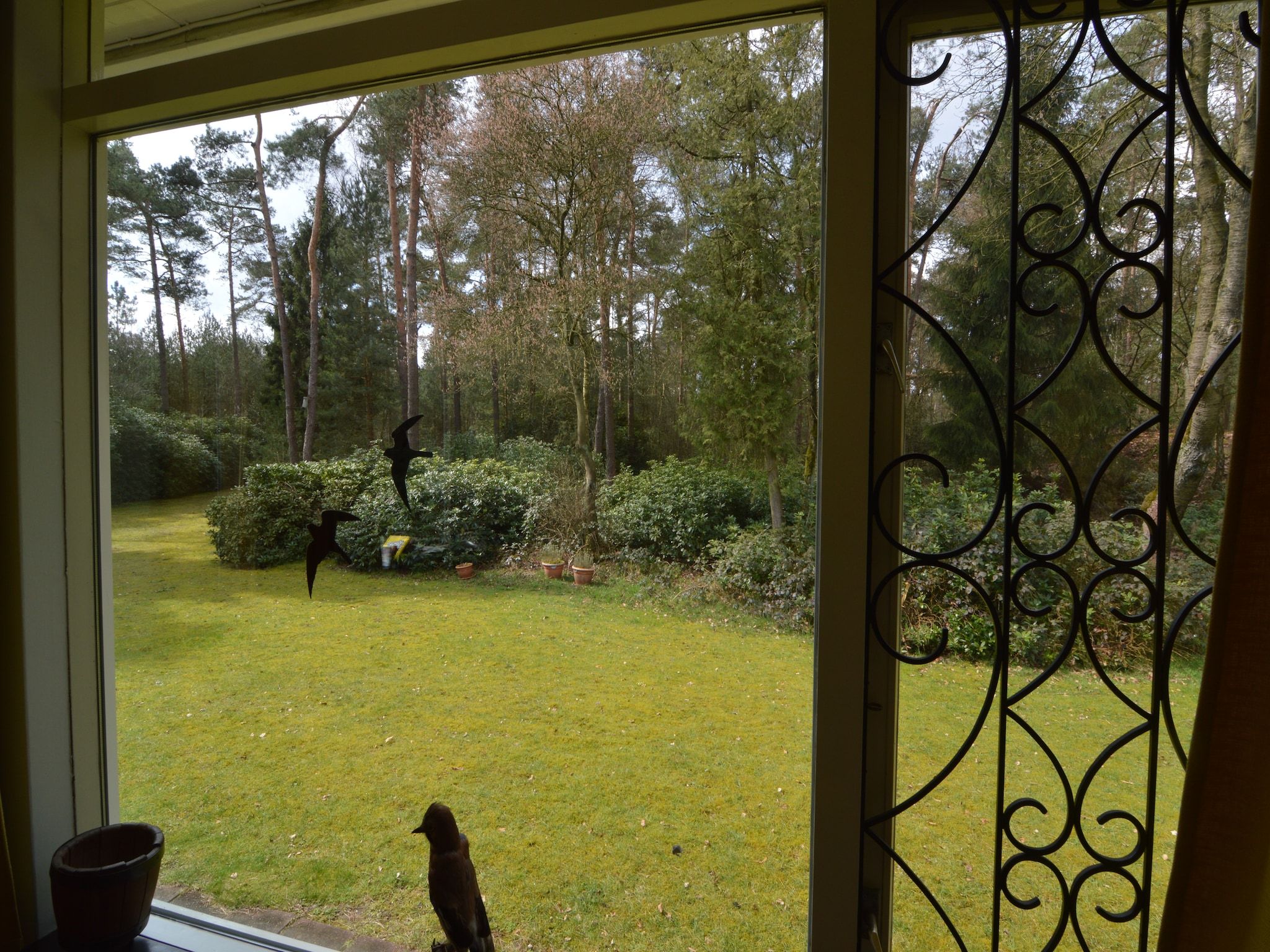 Het uitzicht vanaf Ruischende Dennen in Huybergen