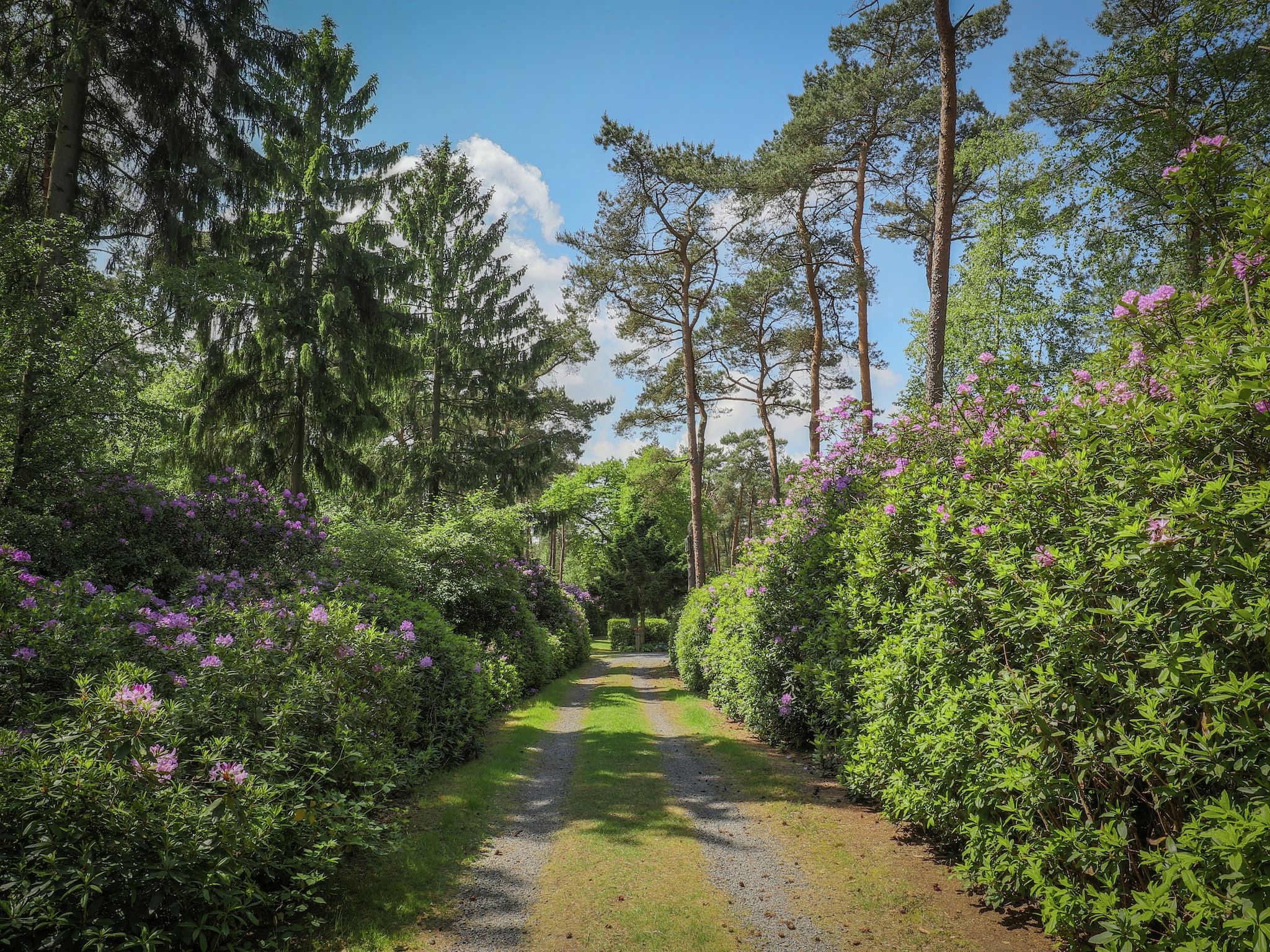 De tuin van Ruischende Dennen in Huybergen