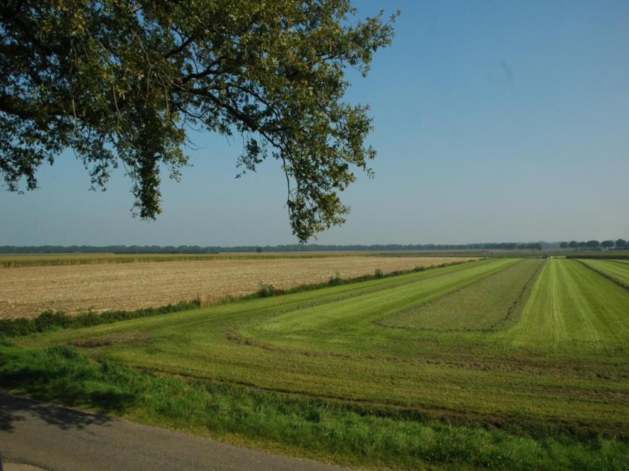 Ruischende Dennen in Huybergen - Foto 34 van 40