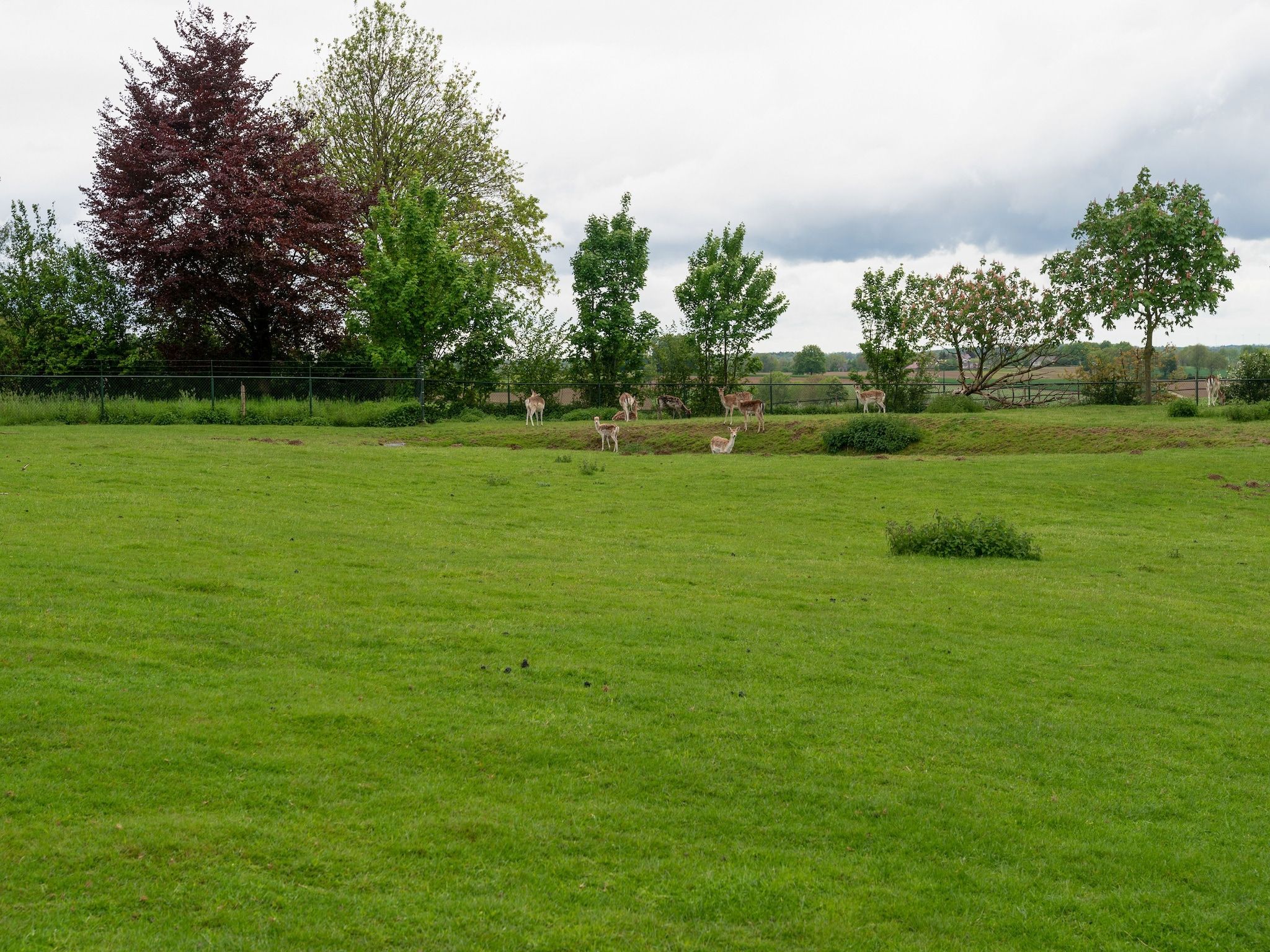 De tuin van Valleyview Cottages - NR18 in Voerendaal