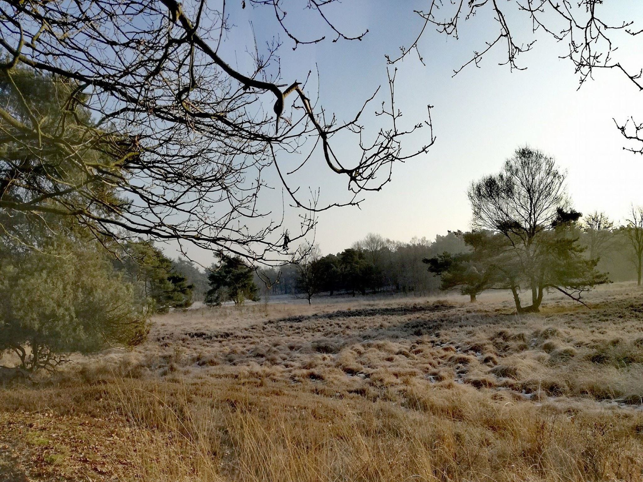 Relax Chalet Veluwe in Putten - Foto 33 van 33