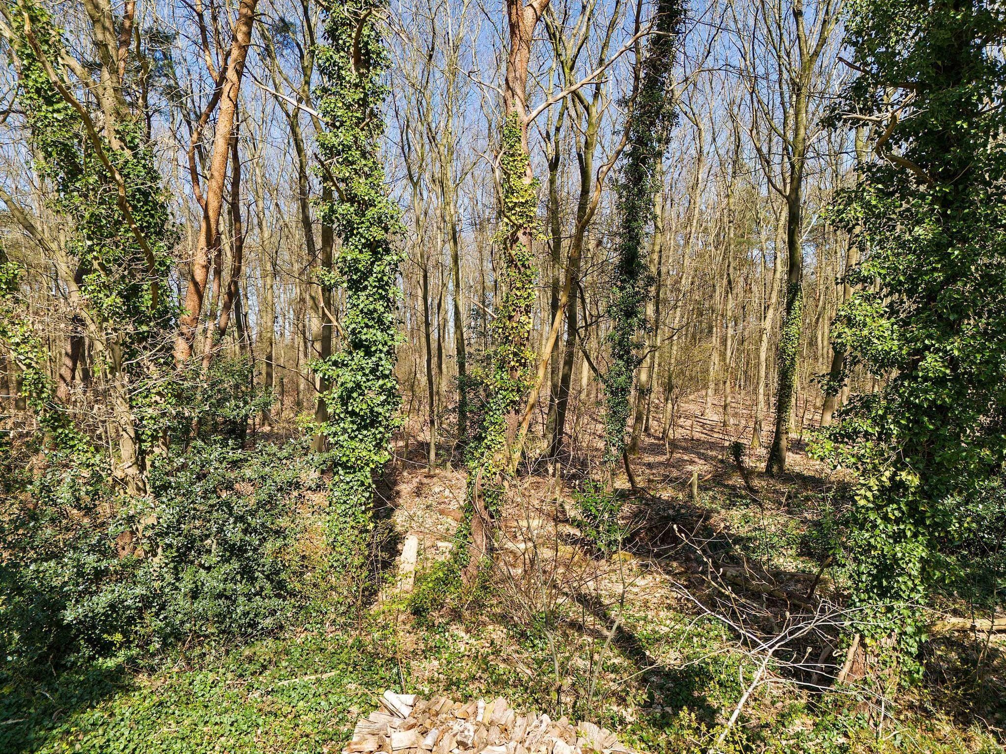 Ermerzand Retreat in Erm - Foto 29 van 30