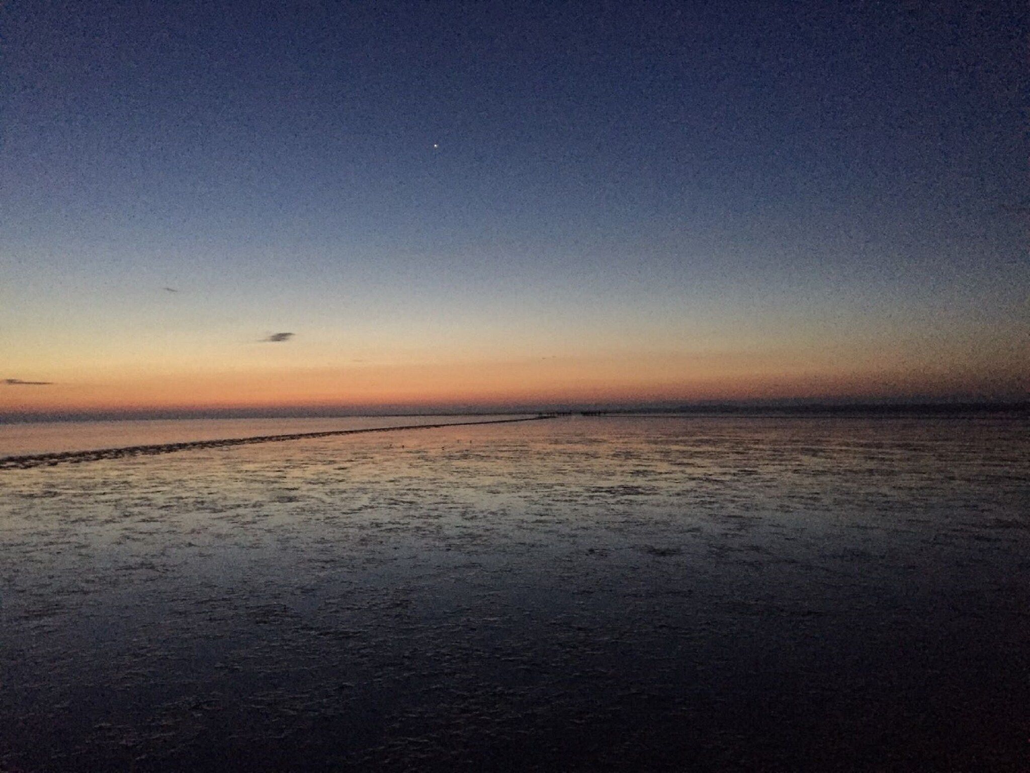 De omgeving van 2 chalets naast elkaar in Tzummarum