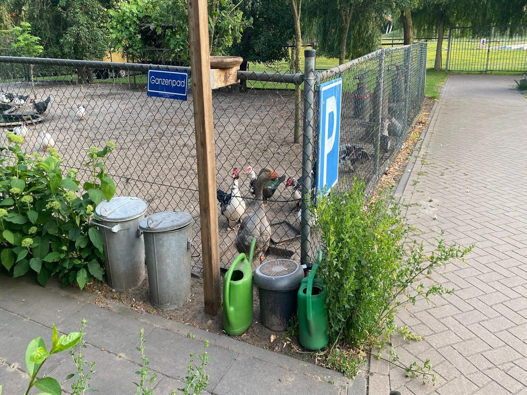 Voorzieningen bij De Herberg in Bergen op Zoom