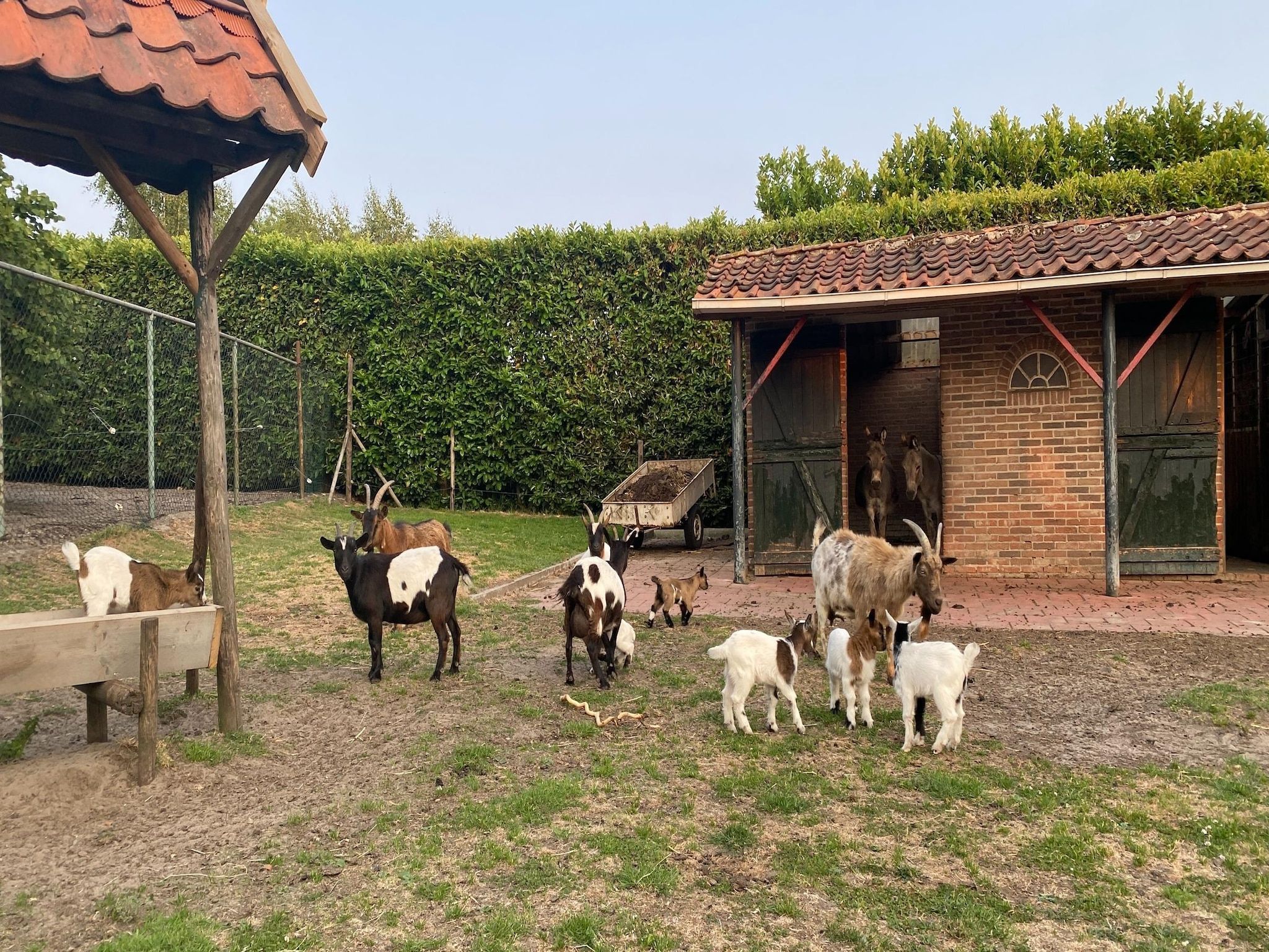 Voorzieningen bij De Hofstede in Bergen op Zoom