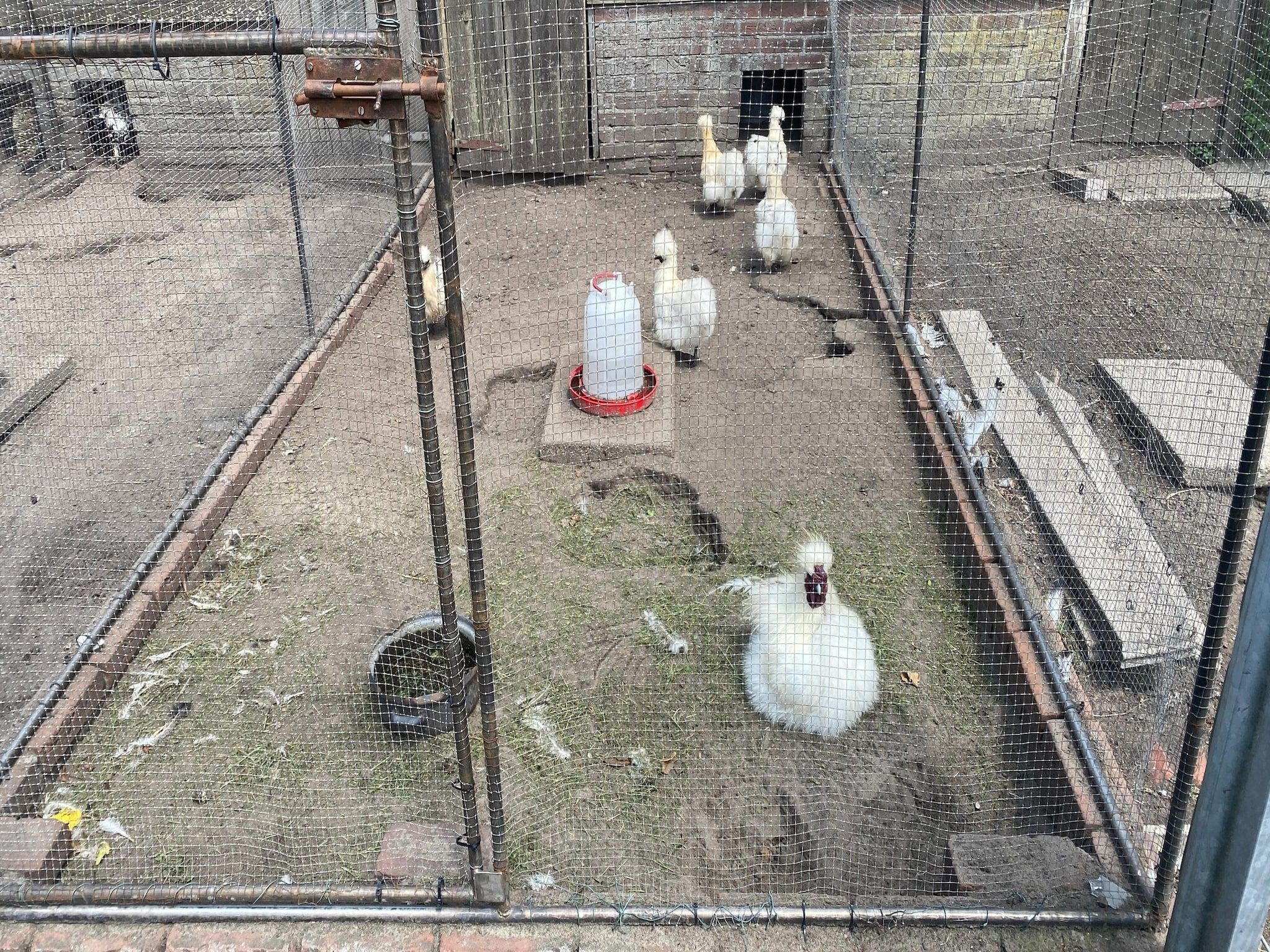 Voorzieningen bij De Hofstede in Bergen op Zoom