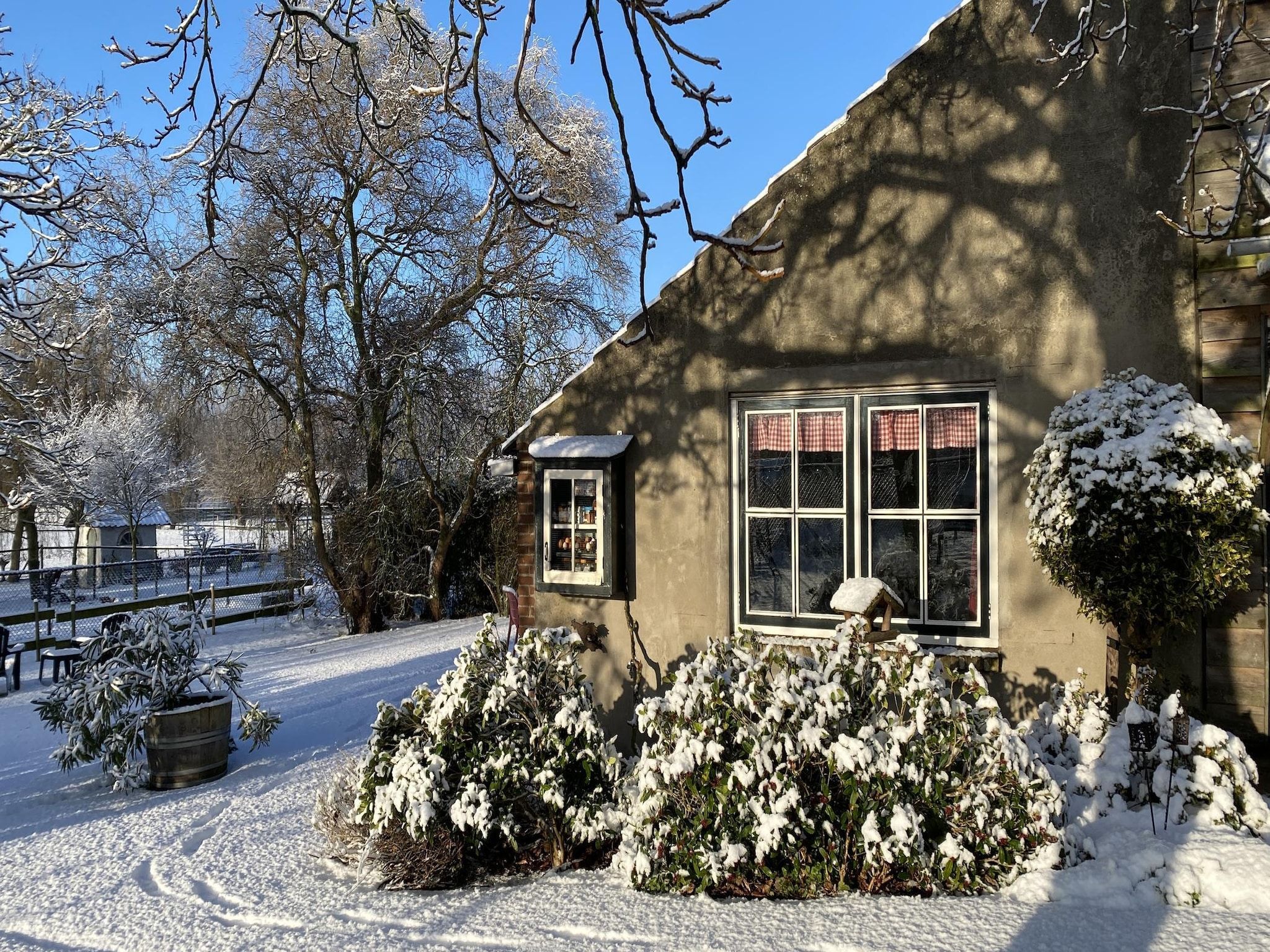 De tuin van De Hofstede in Bergen op Zoom