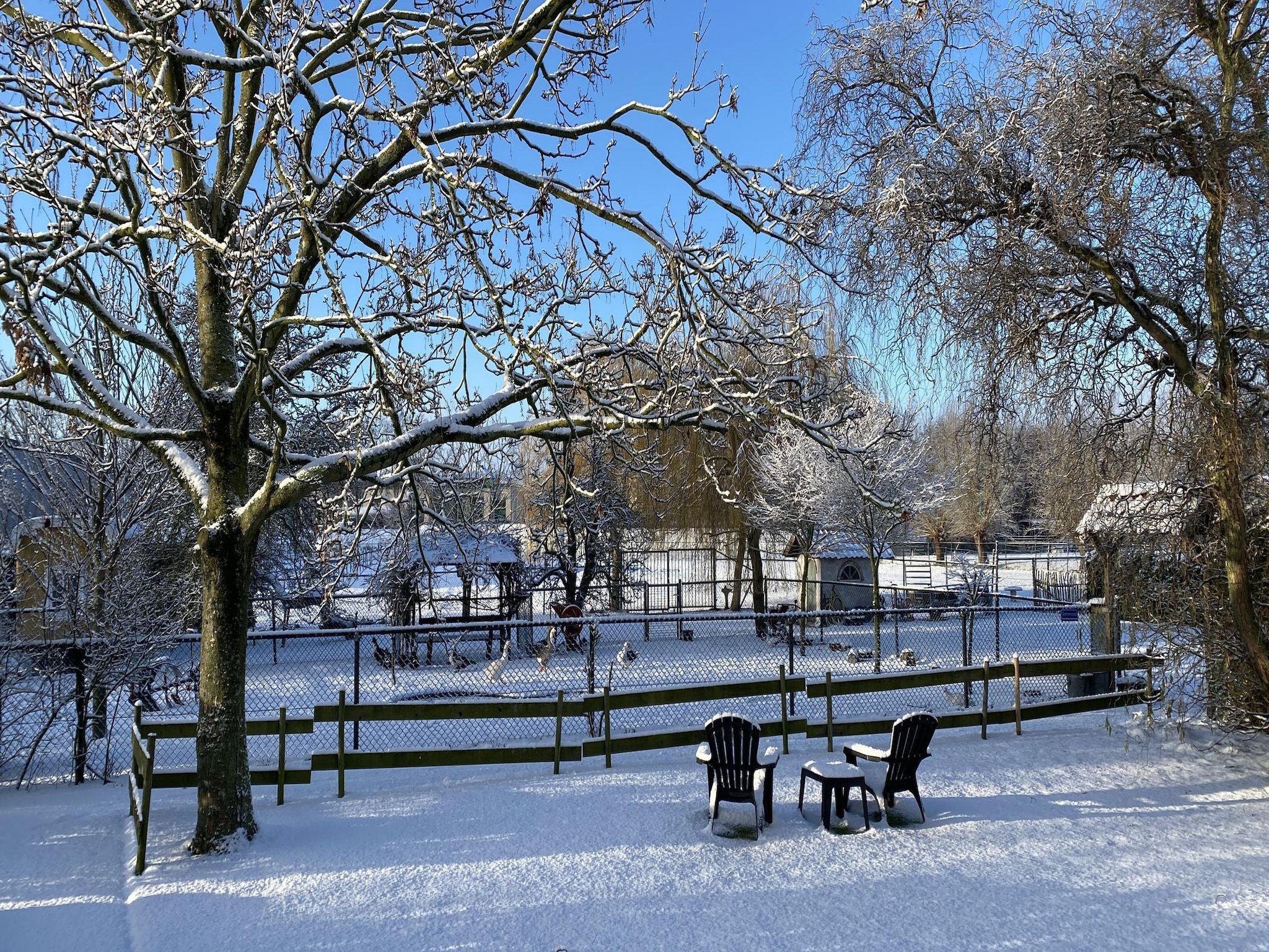 Het terras van De Hofstede in Bergen op Zoom
