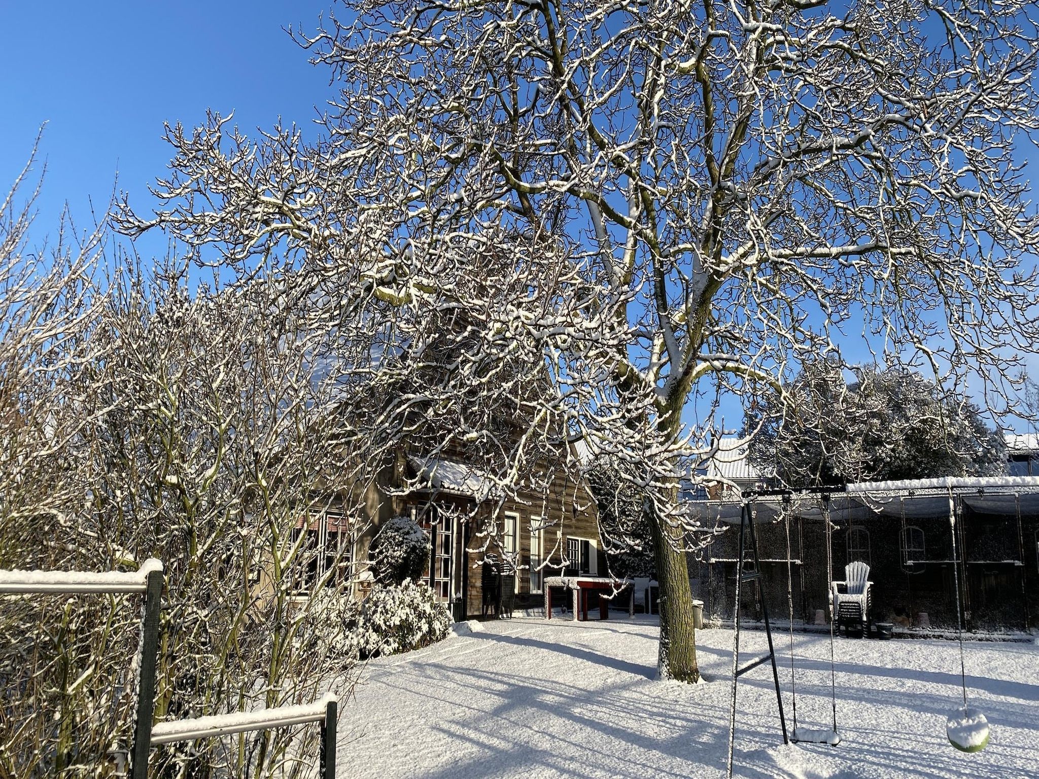 De tuin van De Hofstede in Bergen op Zoom