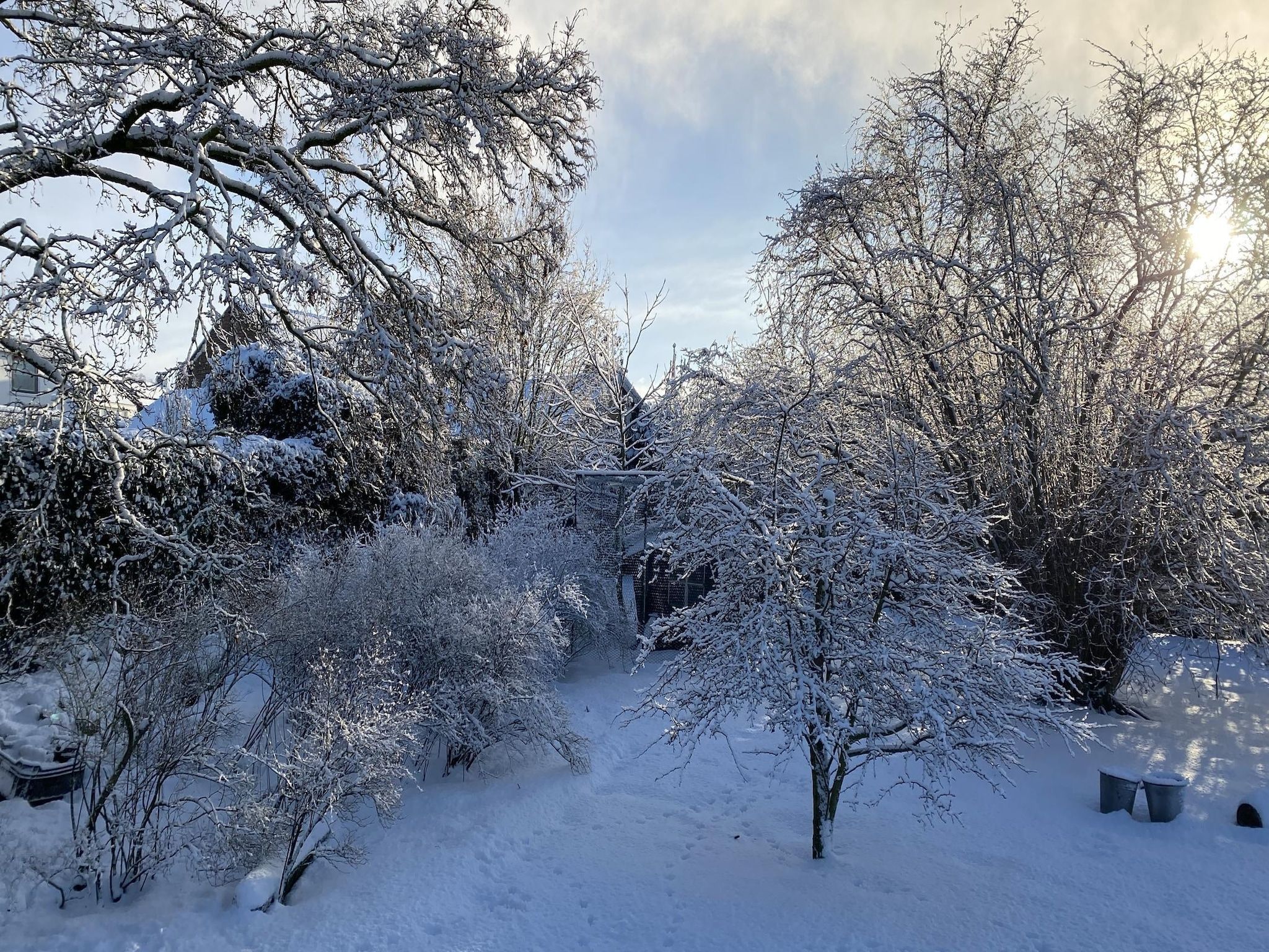 De Hofstede in Bergen op Zoom - Foto 30 van 34
