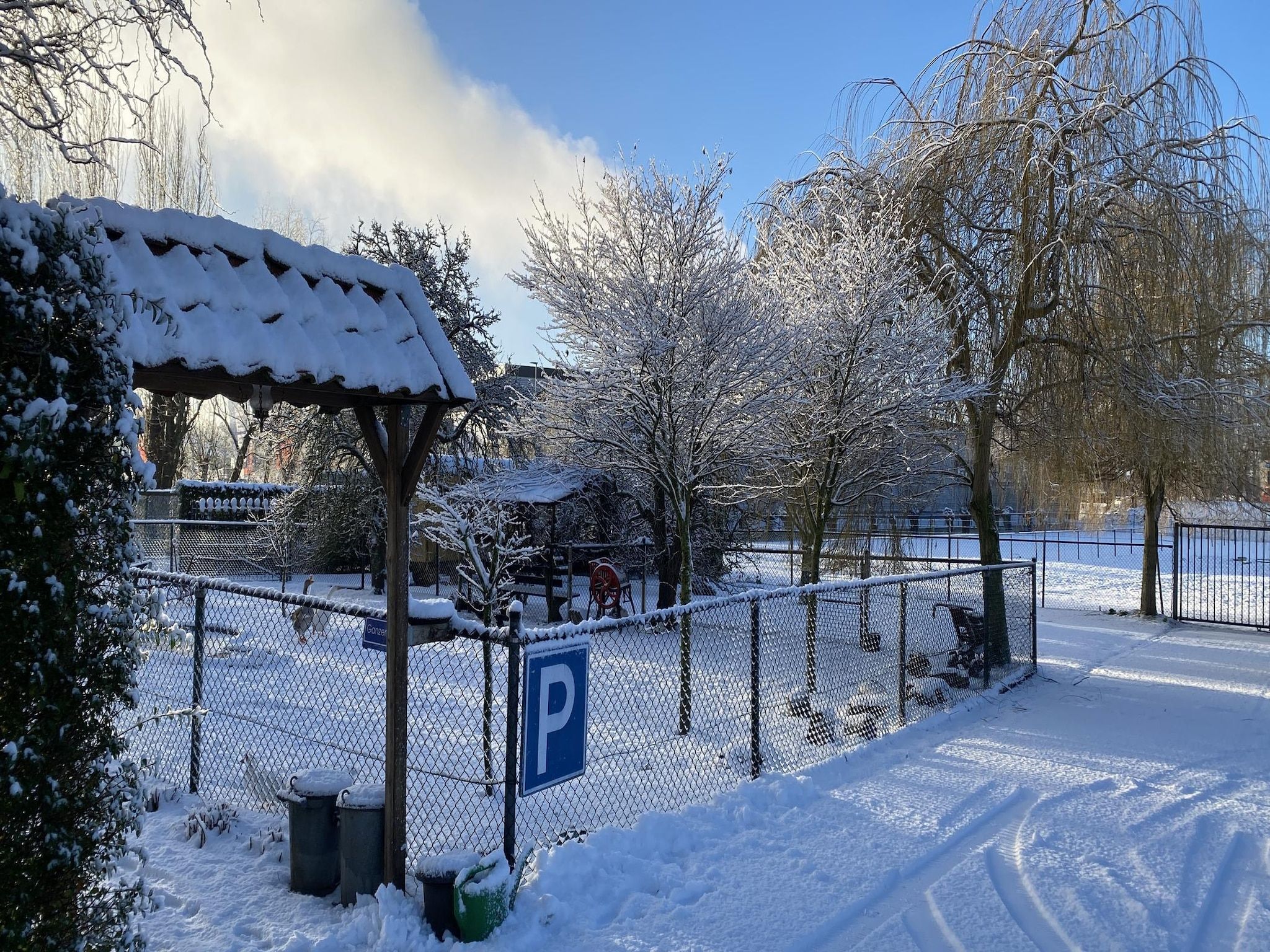 De Hofstede in Bergen op Zoom - Foto 31 van 34