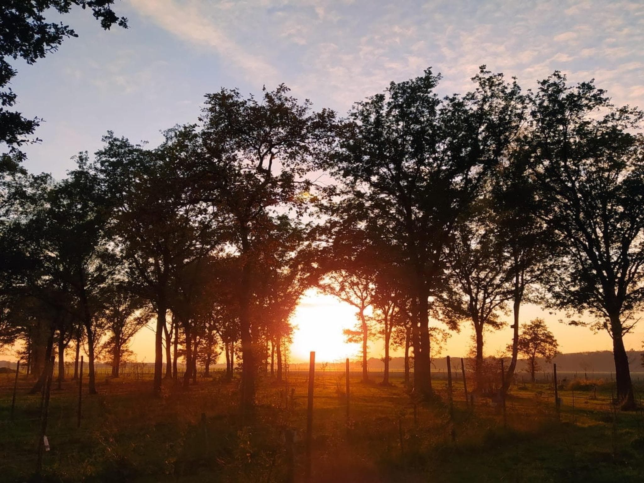 De omgeving van De Ree en de Specht in Oirschot