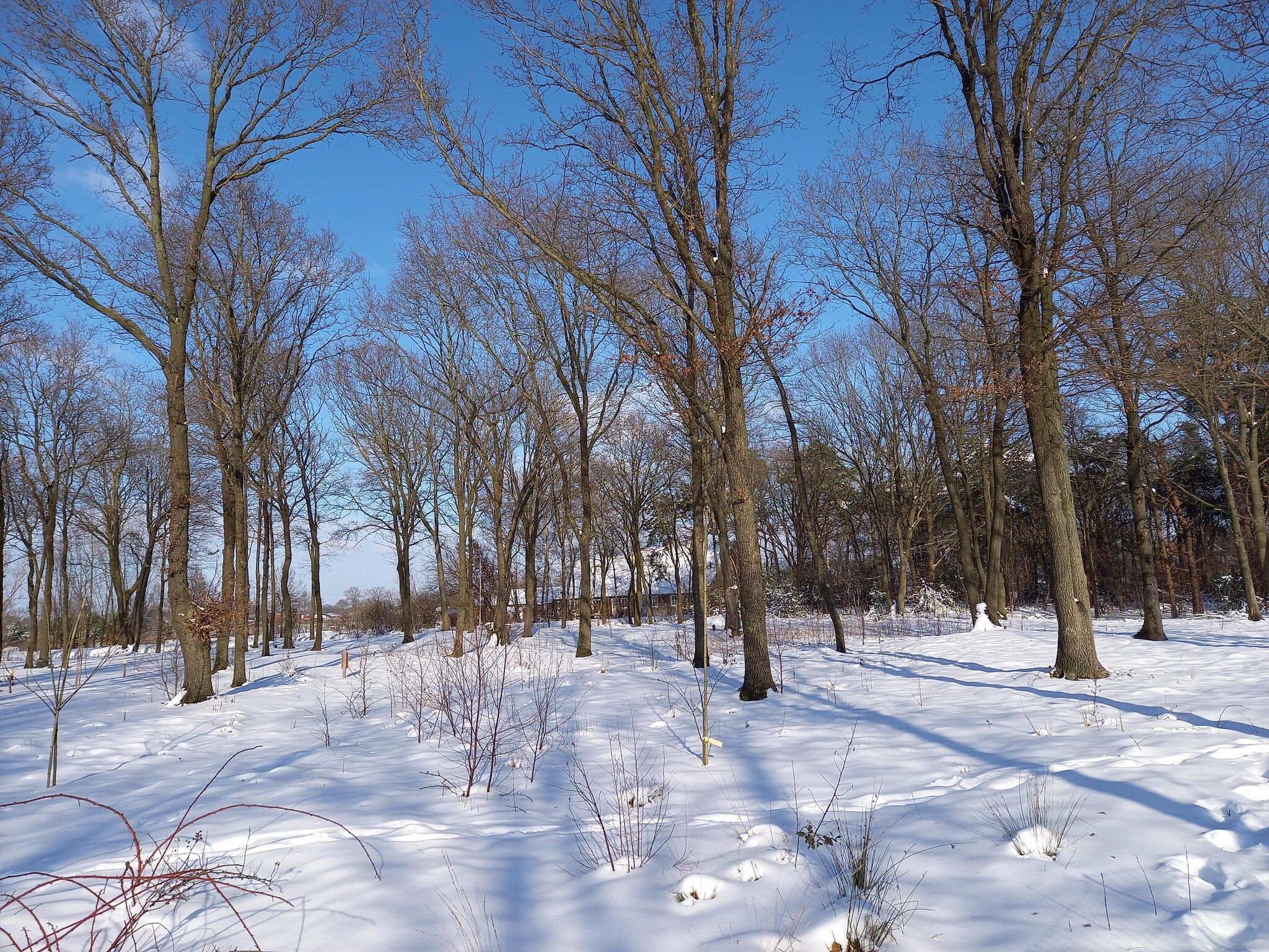 De Kievit in Oirschot - Foto 14 van 24