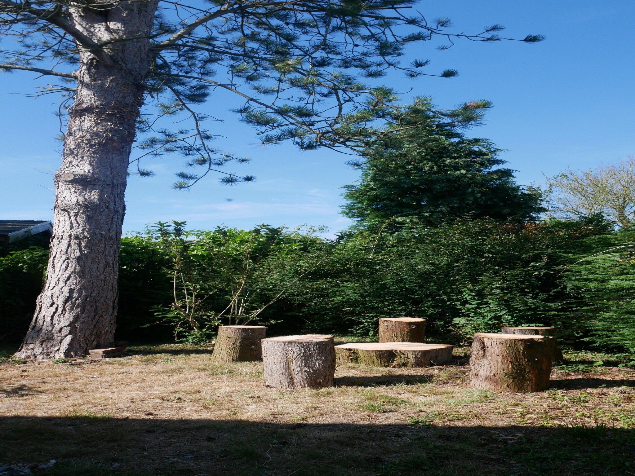 De tuin van Banjaard - Schulte in Kamperland