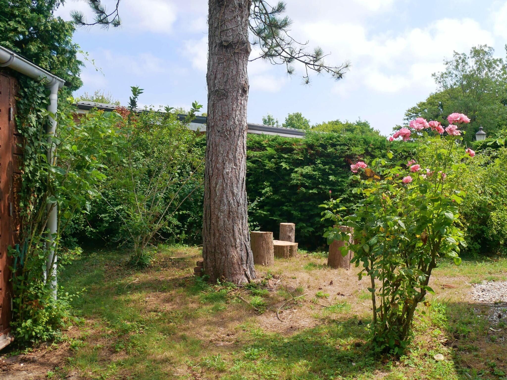 De tuin van Banjaard - Schulte in Kamperland