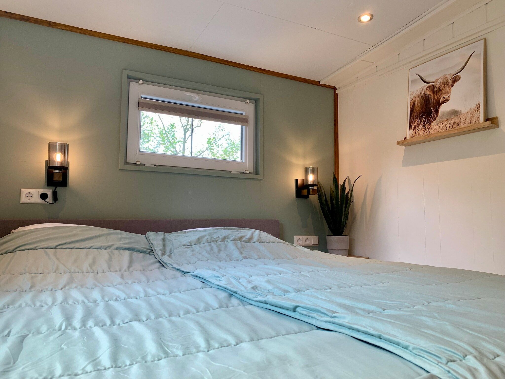 Een slaapkamer van Campanula 211 in Sint Maartenszee