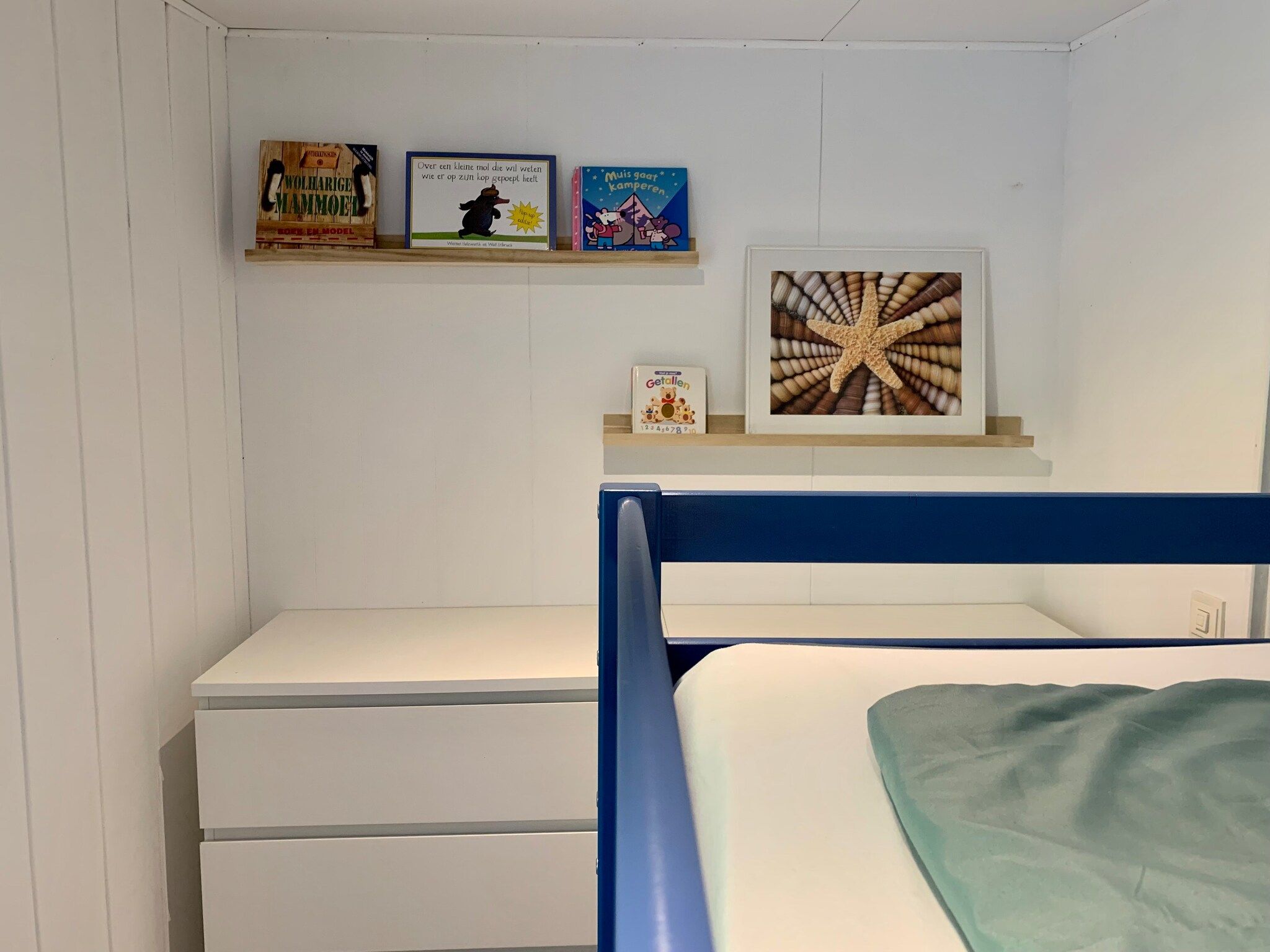 Sfeerbeeld van Campanula 211 in Sint Maartenszee