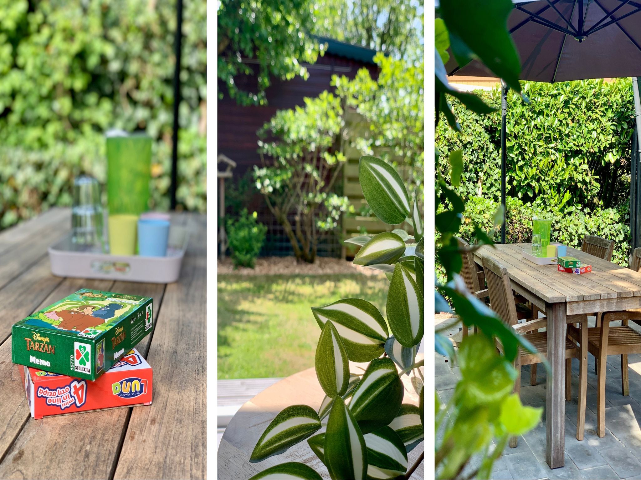 De tuin van Campanula 211 in Sint Maartenszee