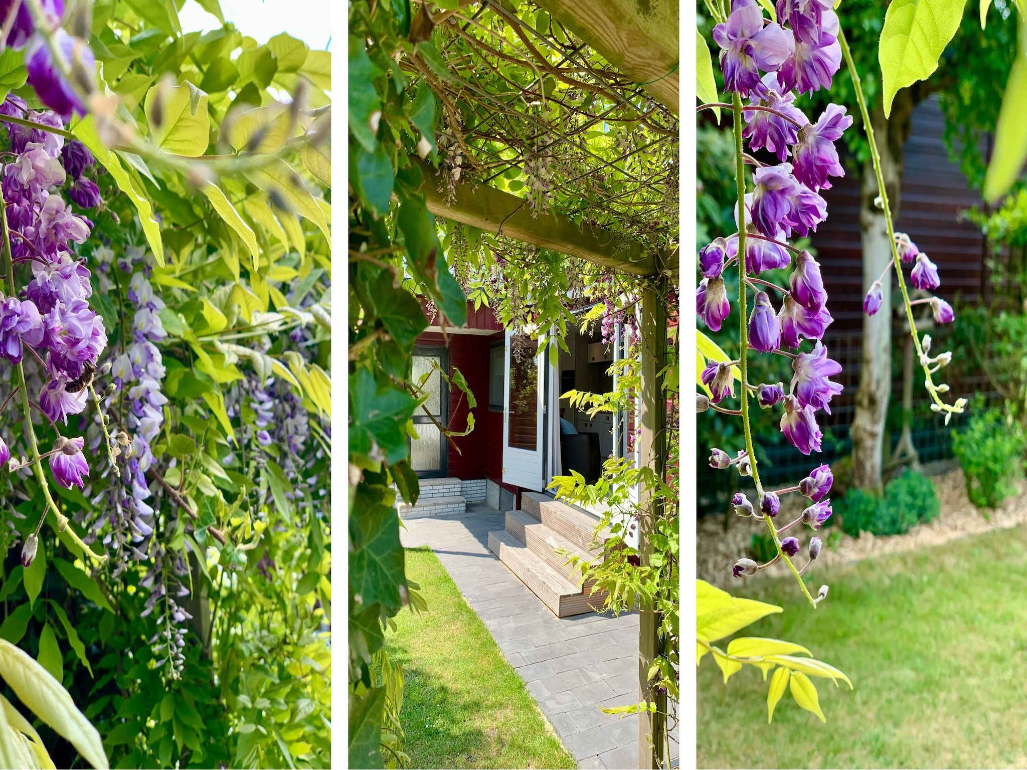De tuin van Campanula 211 in Sint Maartenszee