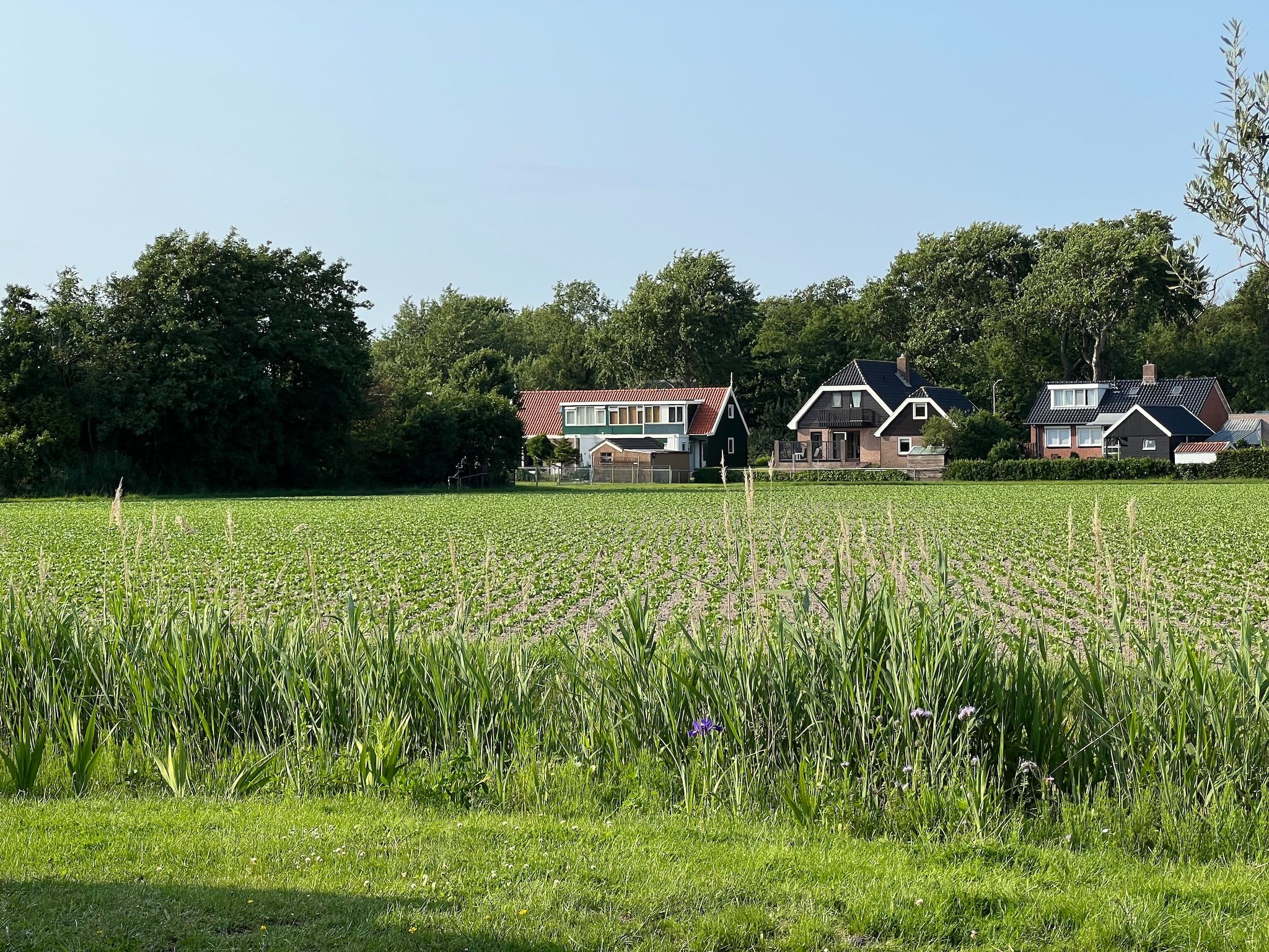 Eureka 103 in Sint Maartensvlotbrug - Foto 32 van 38