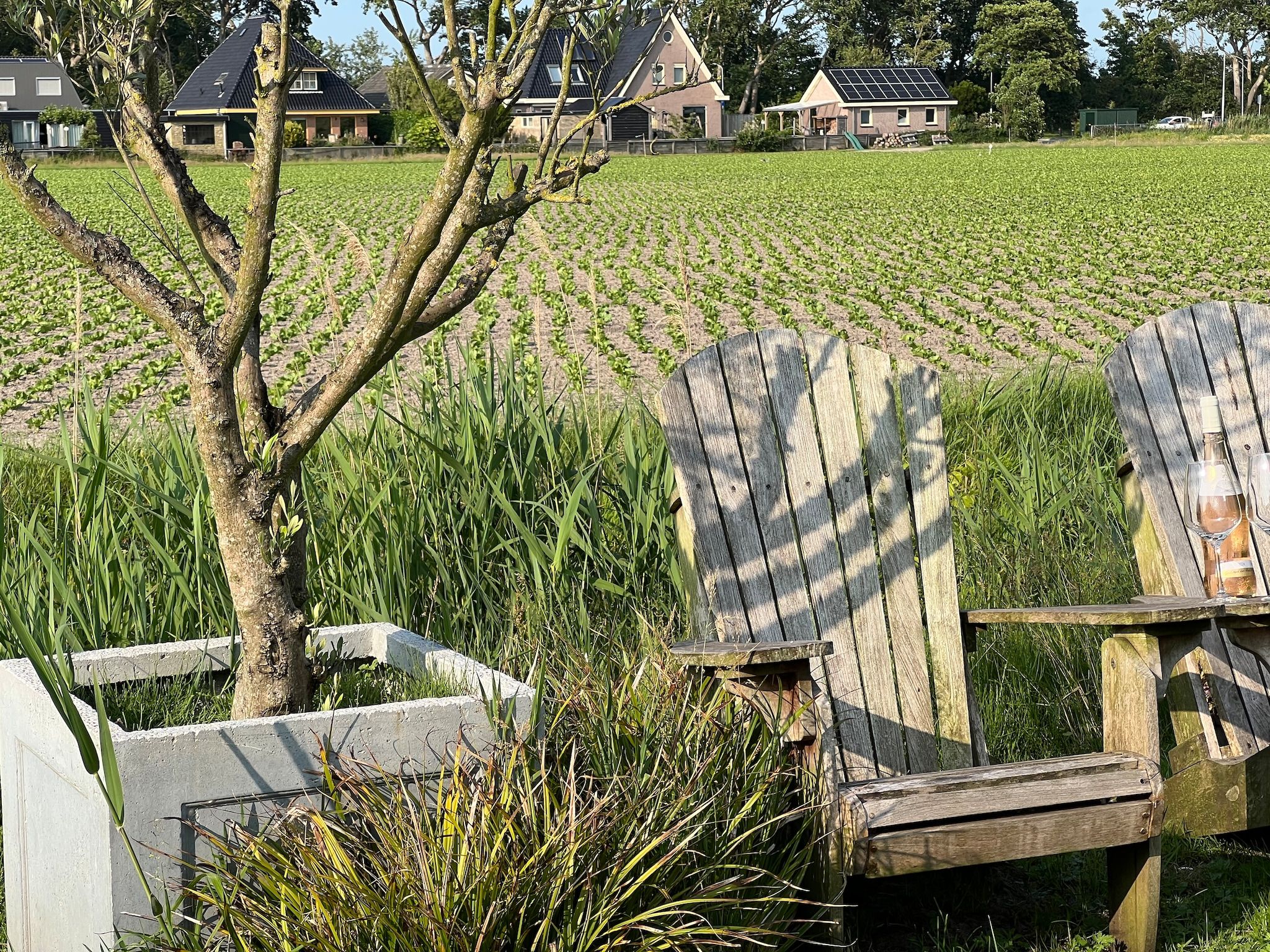 De tuin van Eureka 103 in Sint Maartensvlotbrug