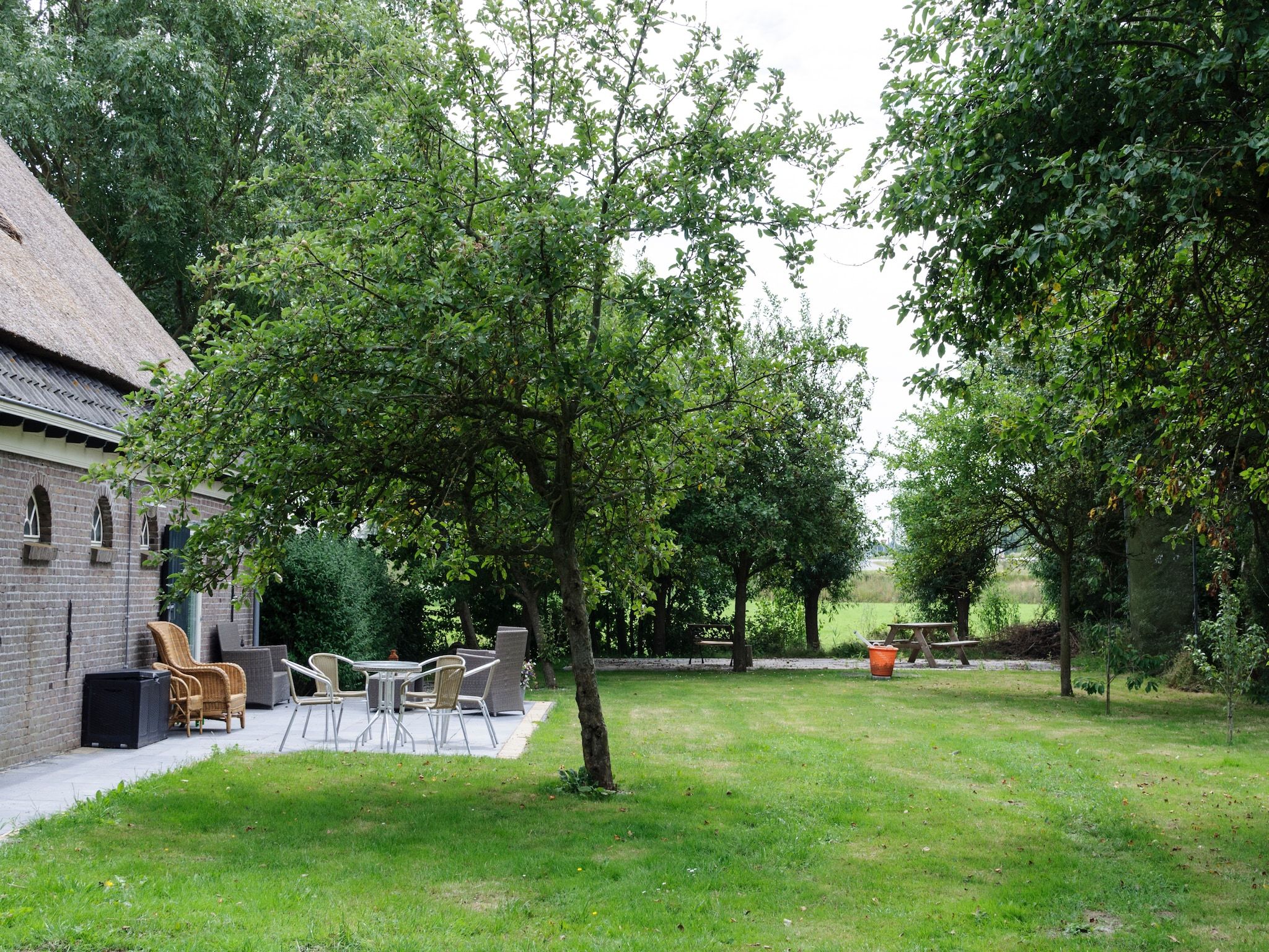 Het terras van Groepsaccomodatie - Balkenhoeve in Schagen