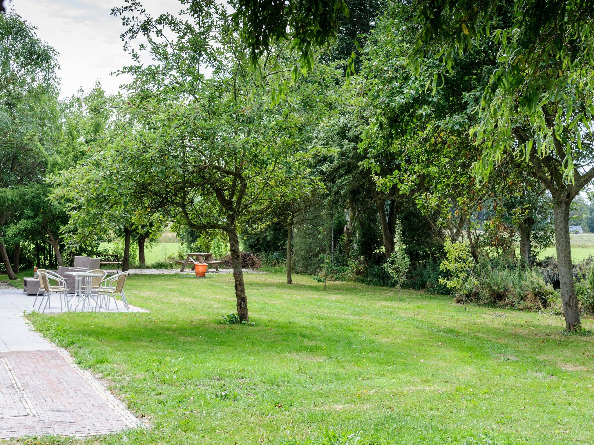 Het terras van Groepsaccomodatie - Balkenhoeve in Schagen