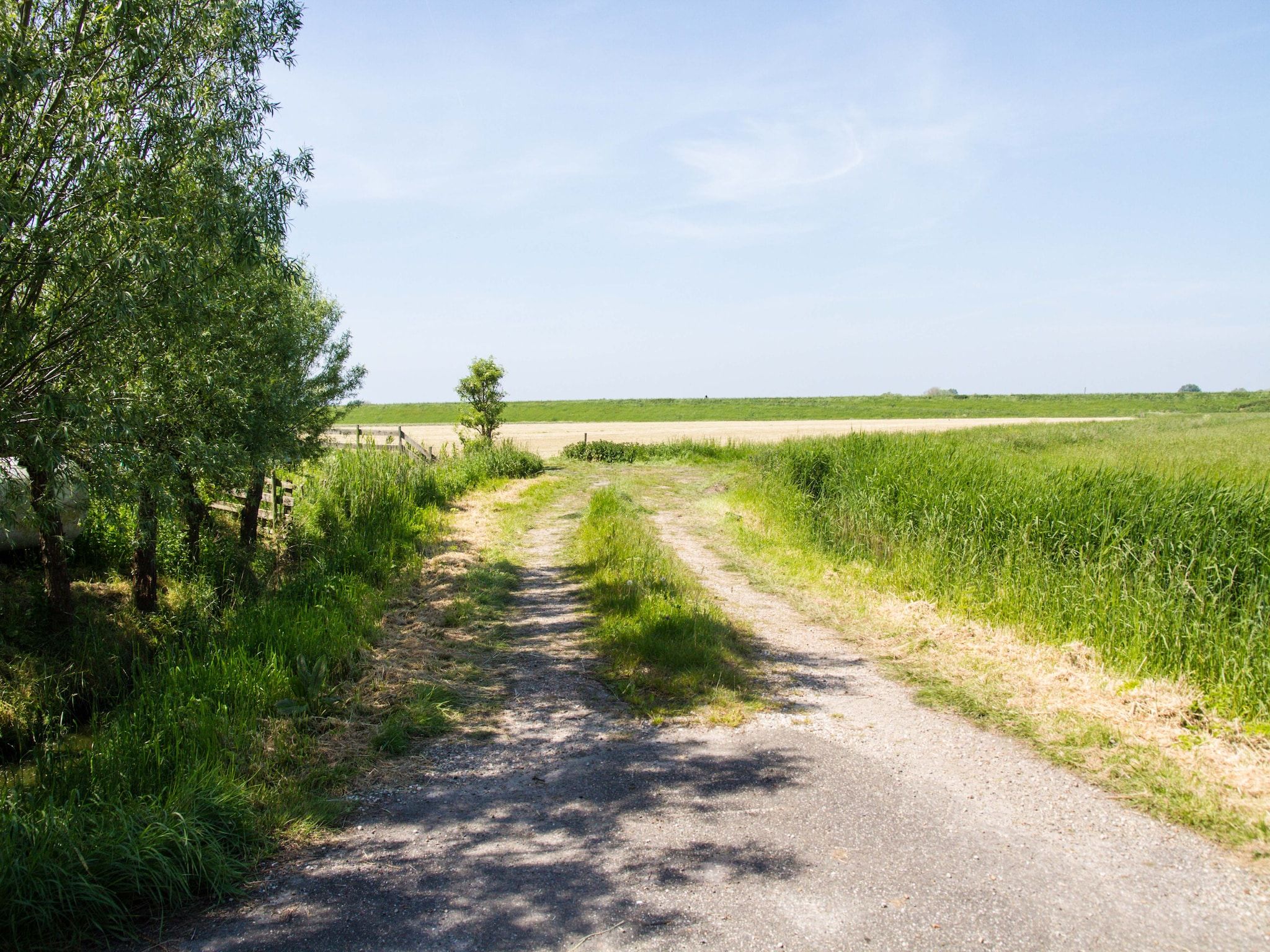 De omgeving van Appartement Boerderij in Schagen