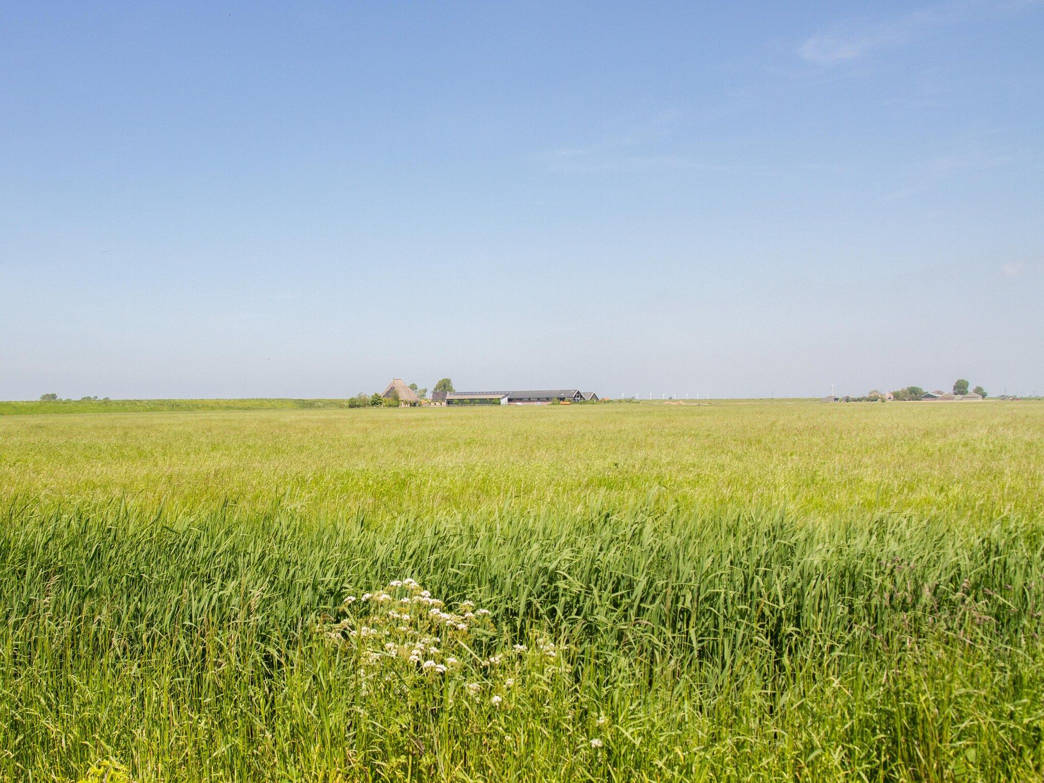 De omgeving van Appartement Boerderij in Schagen