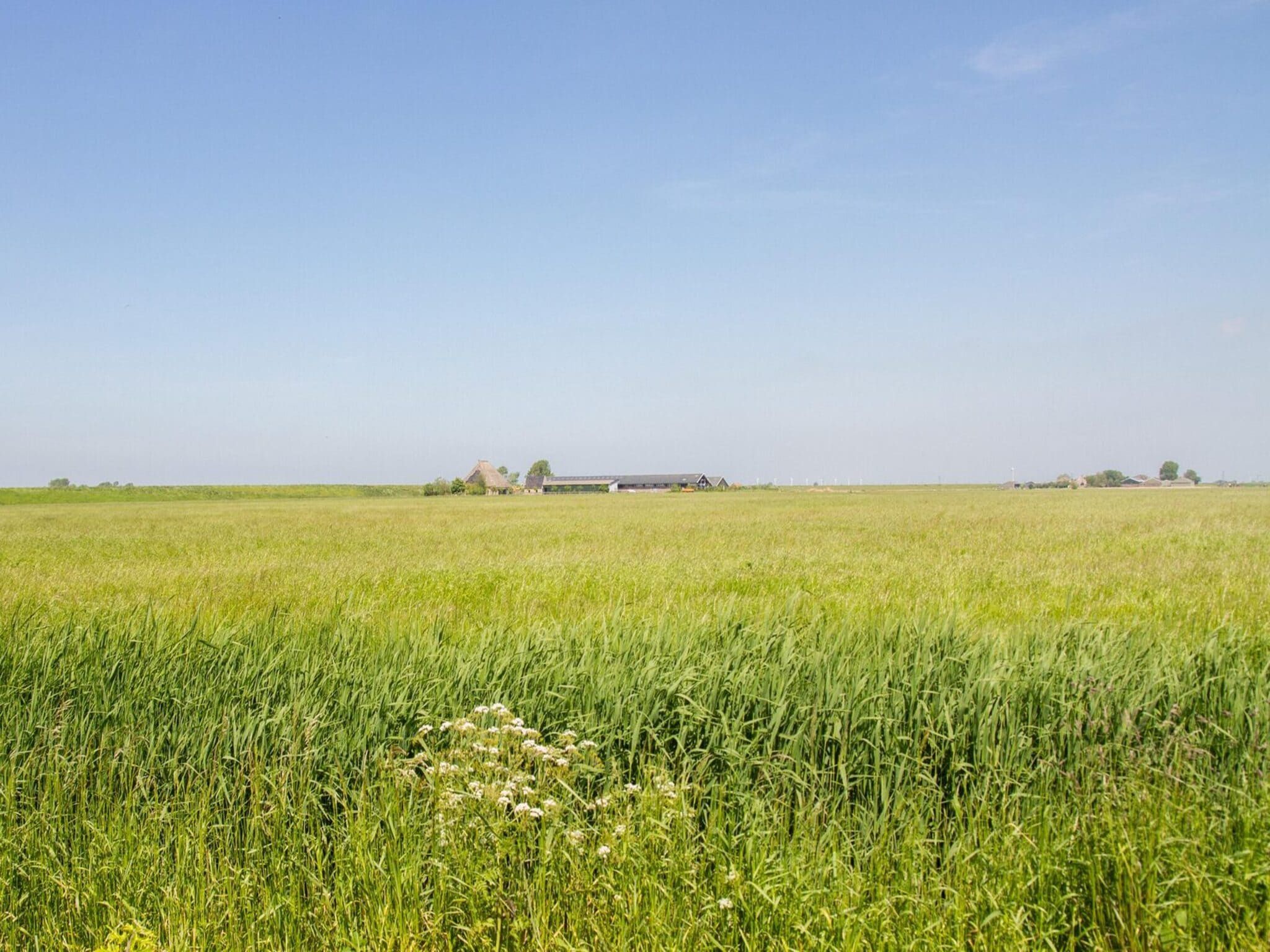 De omgeving van Appartement Boerderij in Schagen