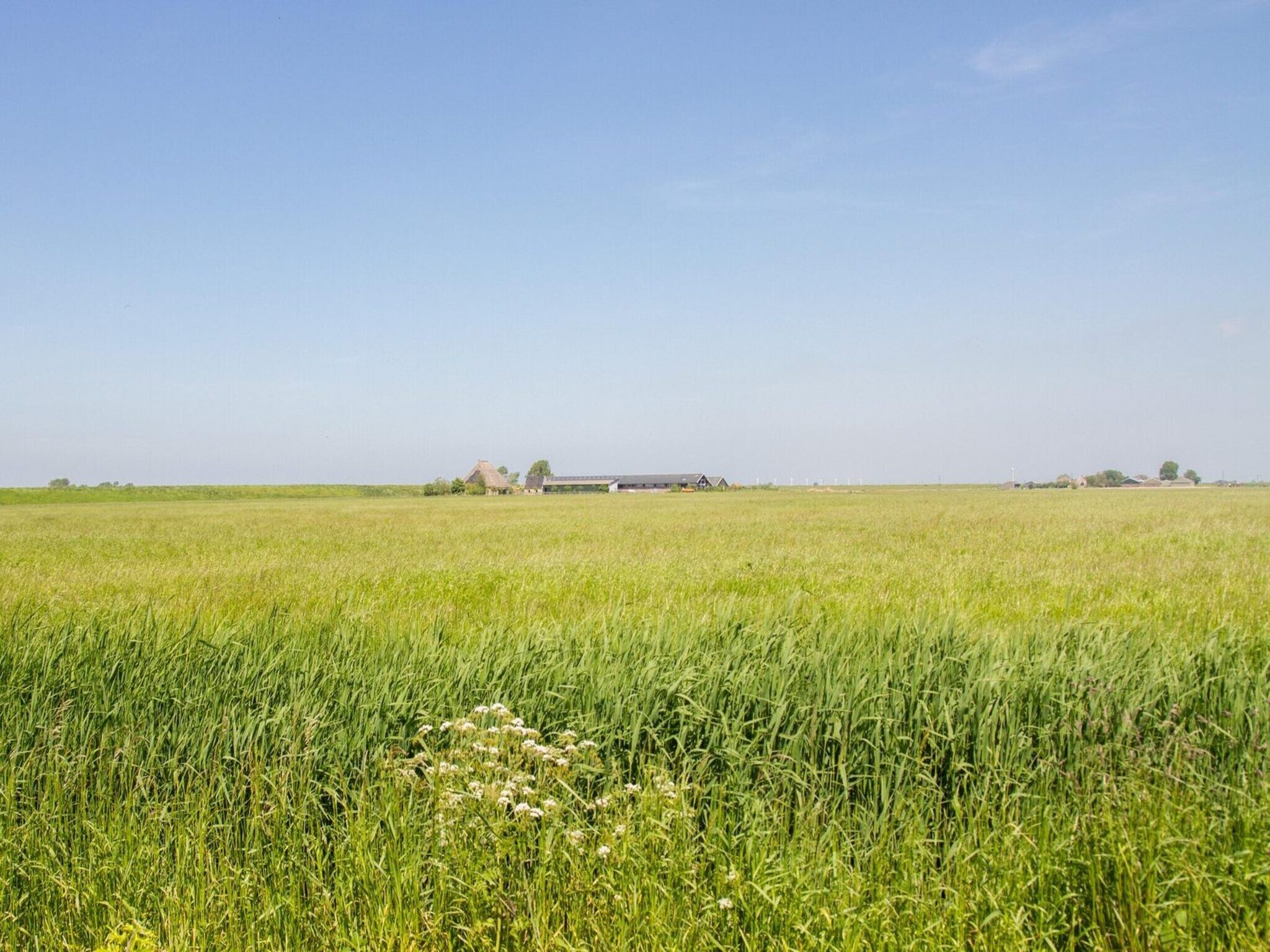 De omgeving van Appartement Rustiek in Schagen