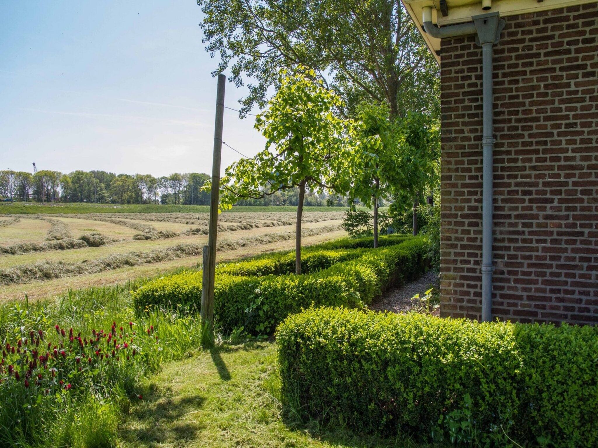 De tuin van Appartement Rustiek in Schagen
