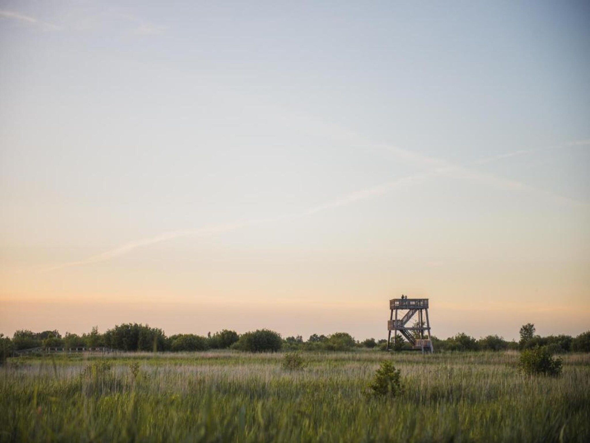 De omgeving van Chaletwoning in Sint Nicolaasga
