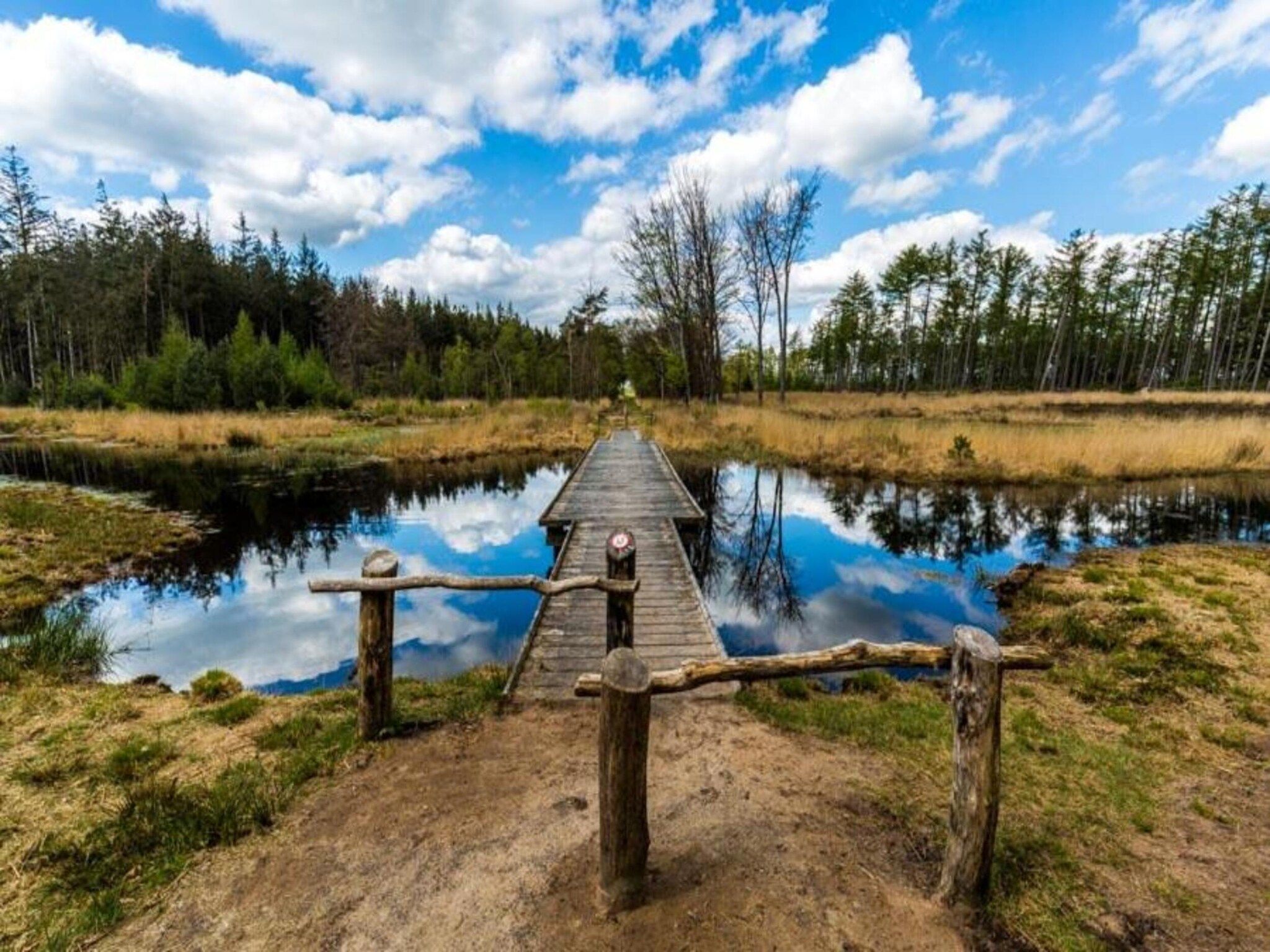 De omgeving van Chaletwoning in Sint Nicolaasga