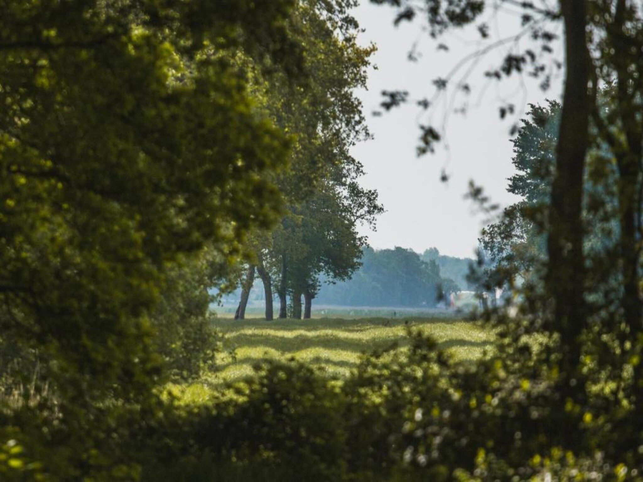 Chaletwoning in Sint Nicolaasga - Foto 30 van 38