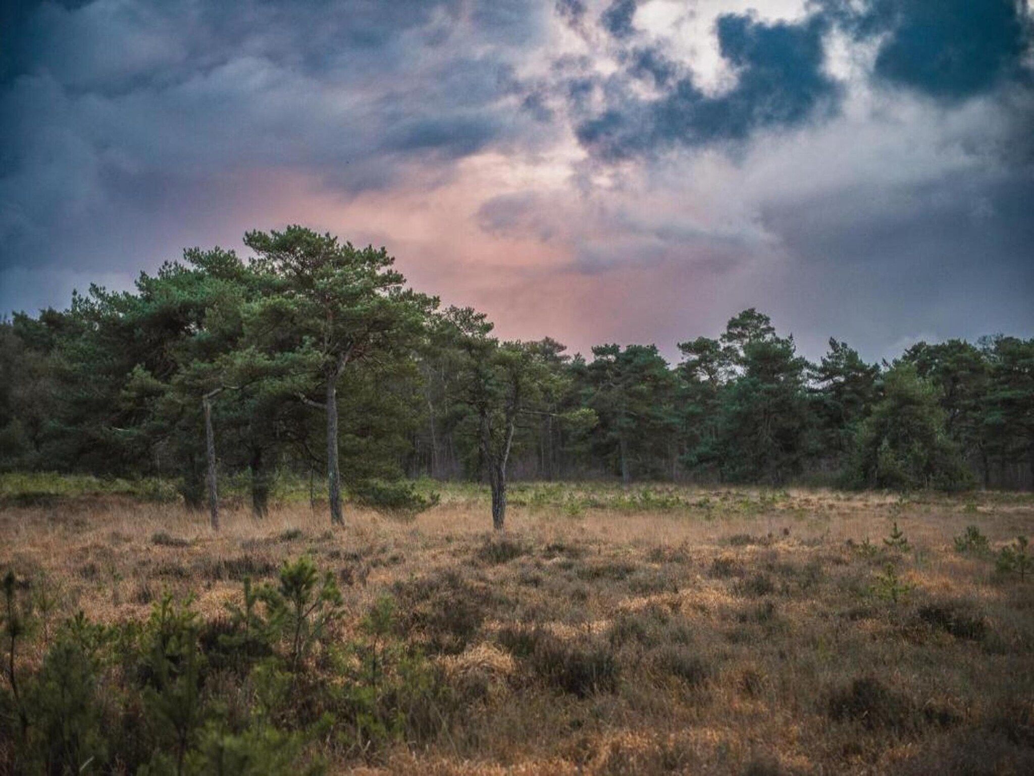 Chaletwoning in Sint Nicolaasga - Foto 32 van 38