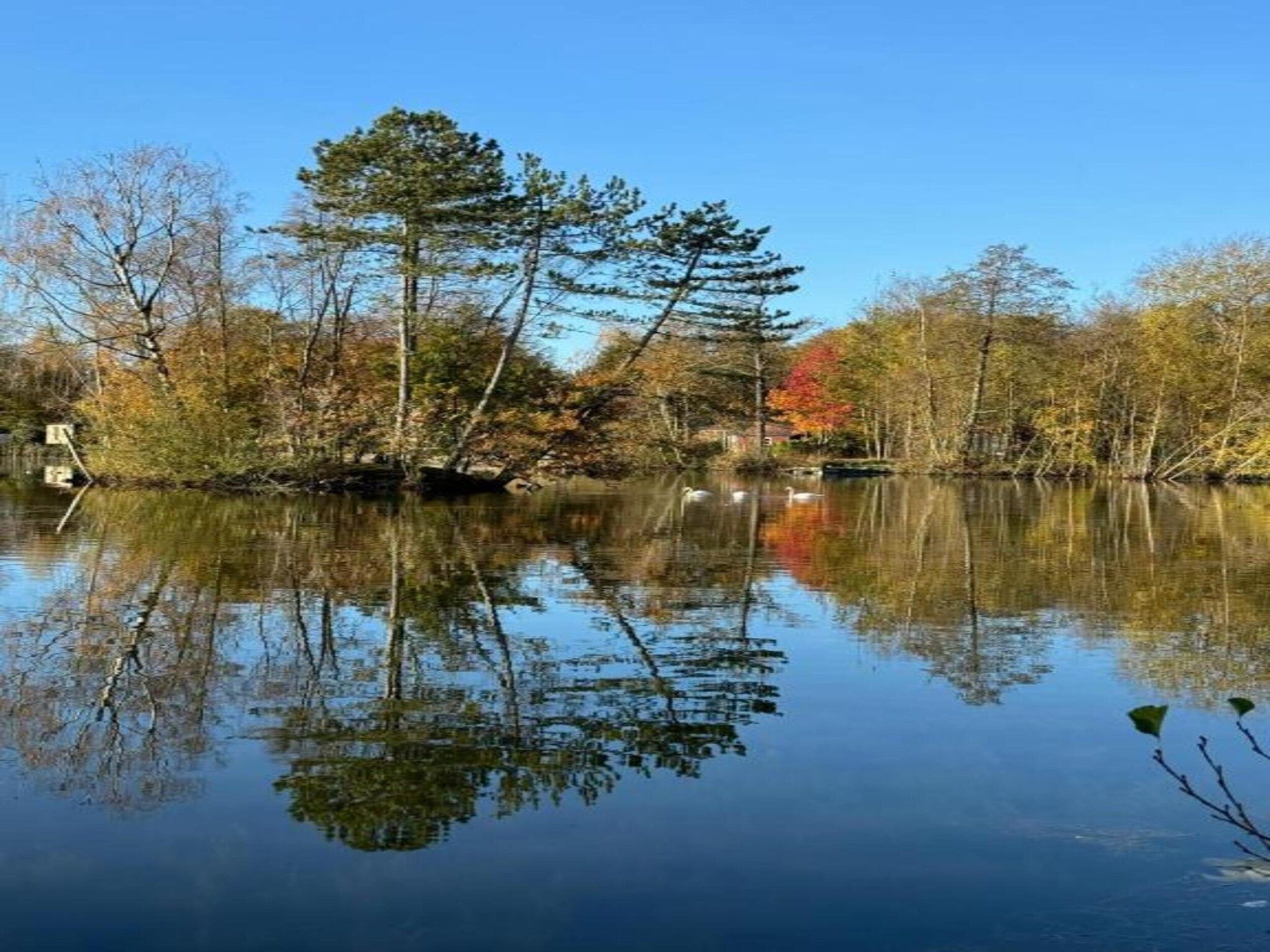 Chaletwoning in Sint Nicolaasga - Foto 37 van 38