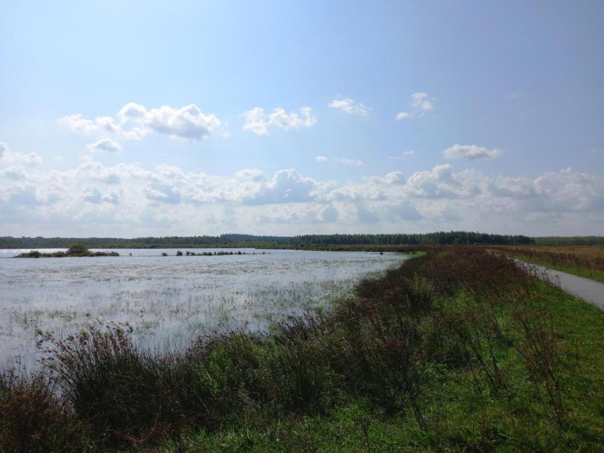 Chaletwoning in Sint Nicolaasga - Foto 38 van 38