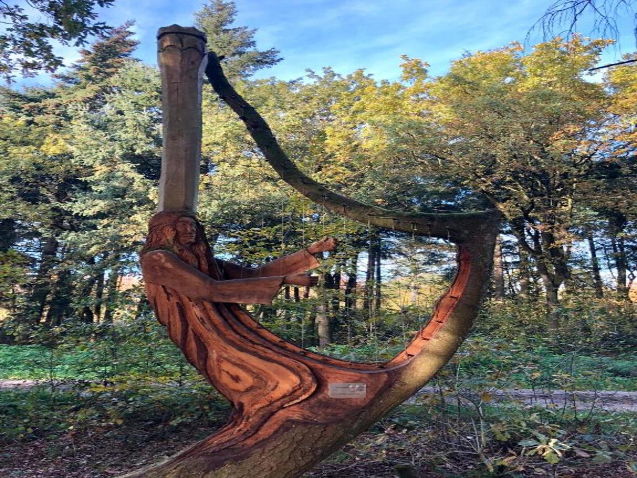 Chaletwoning in Sint Nicolaasga - Foto 29 van 31