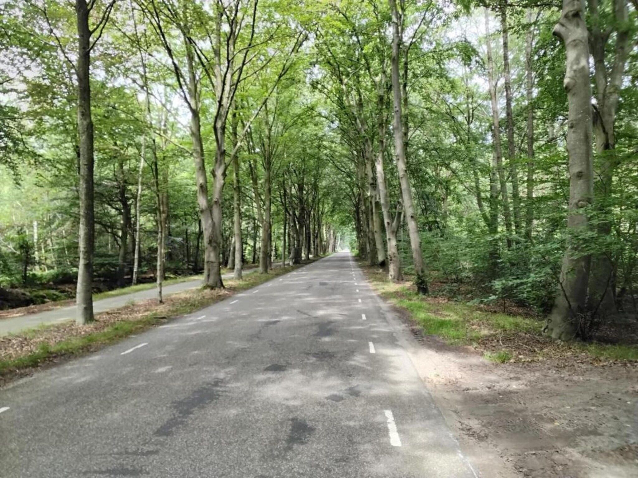 Chaletwoning in Sint Nicolaasga - Foto 25 van 31