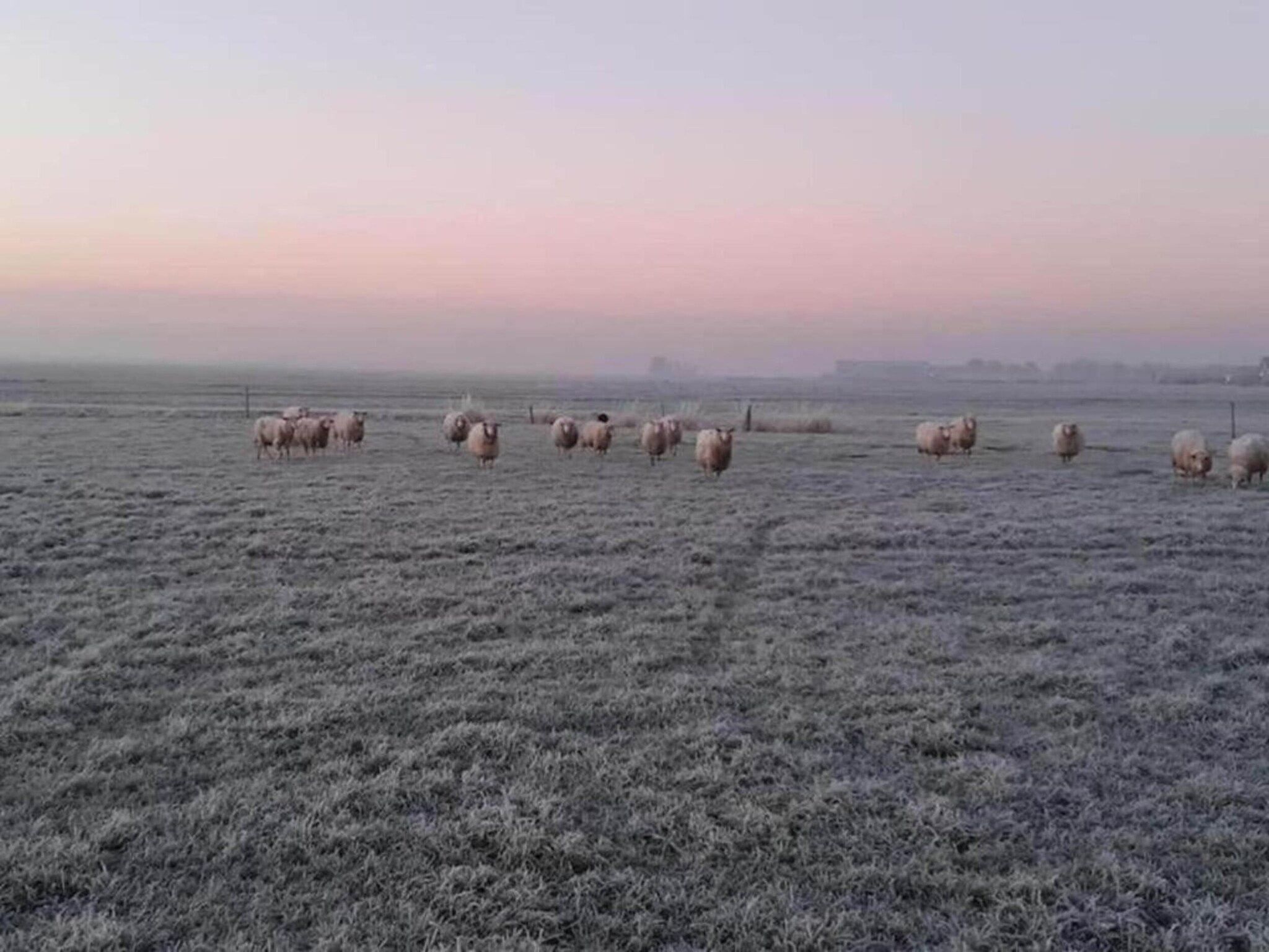 De omgeving van Chaletwoning in Sint Nicolaasga