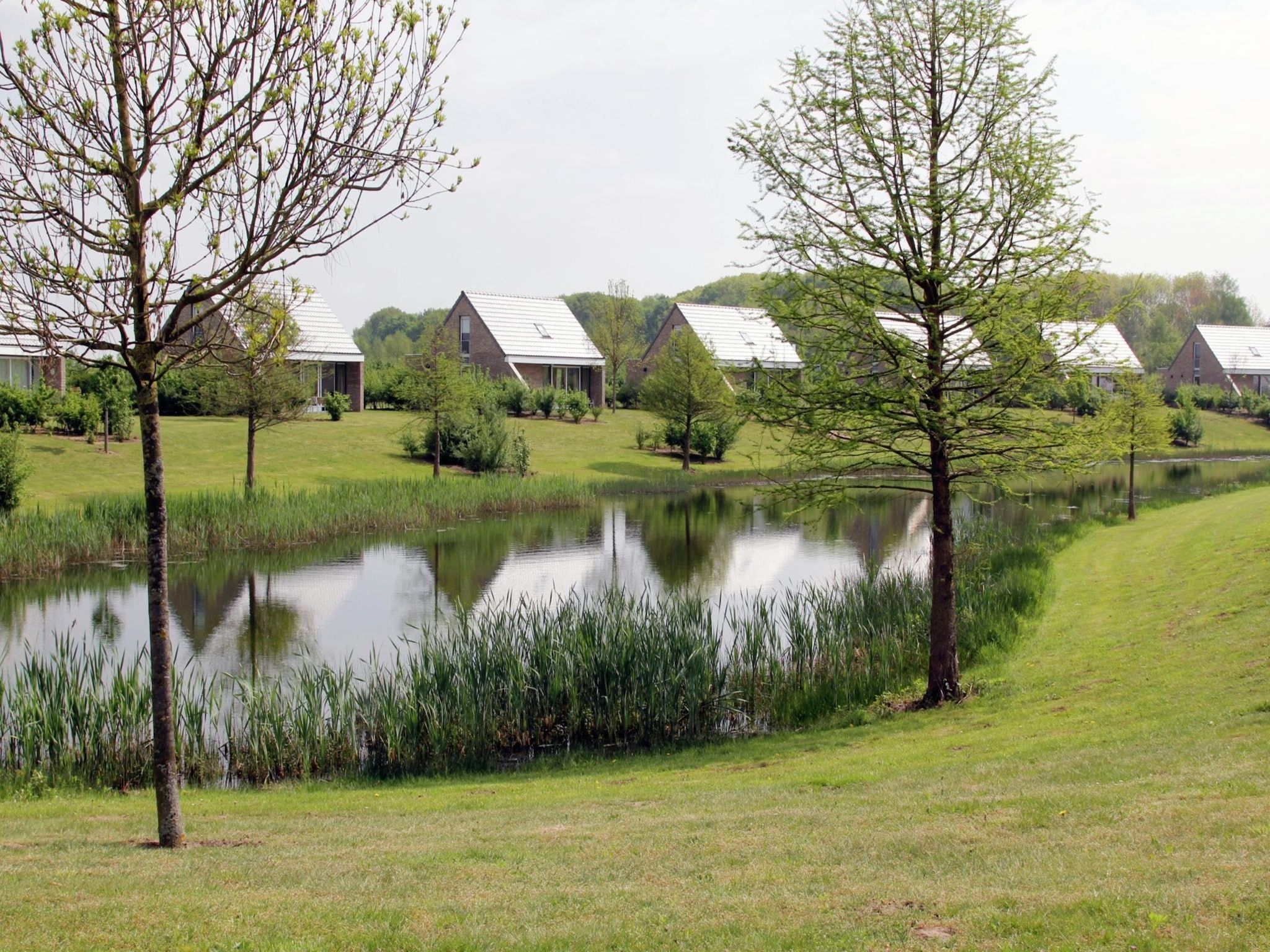 Boswoning in Heel - Foto 6 van 31