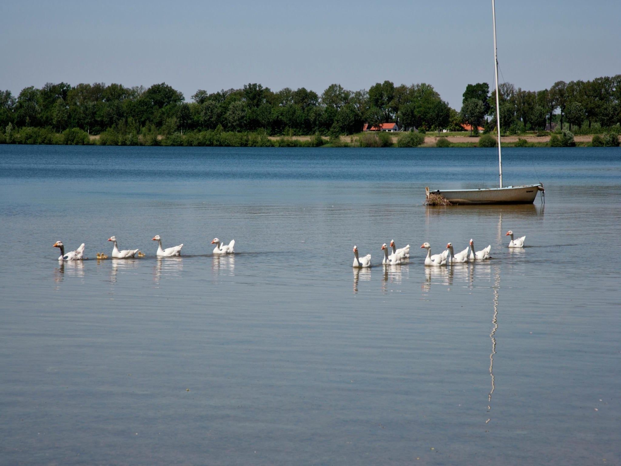 De omgeving van Boswoning in Heel