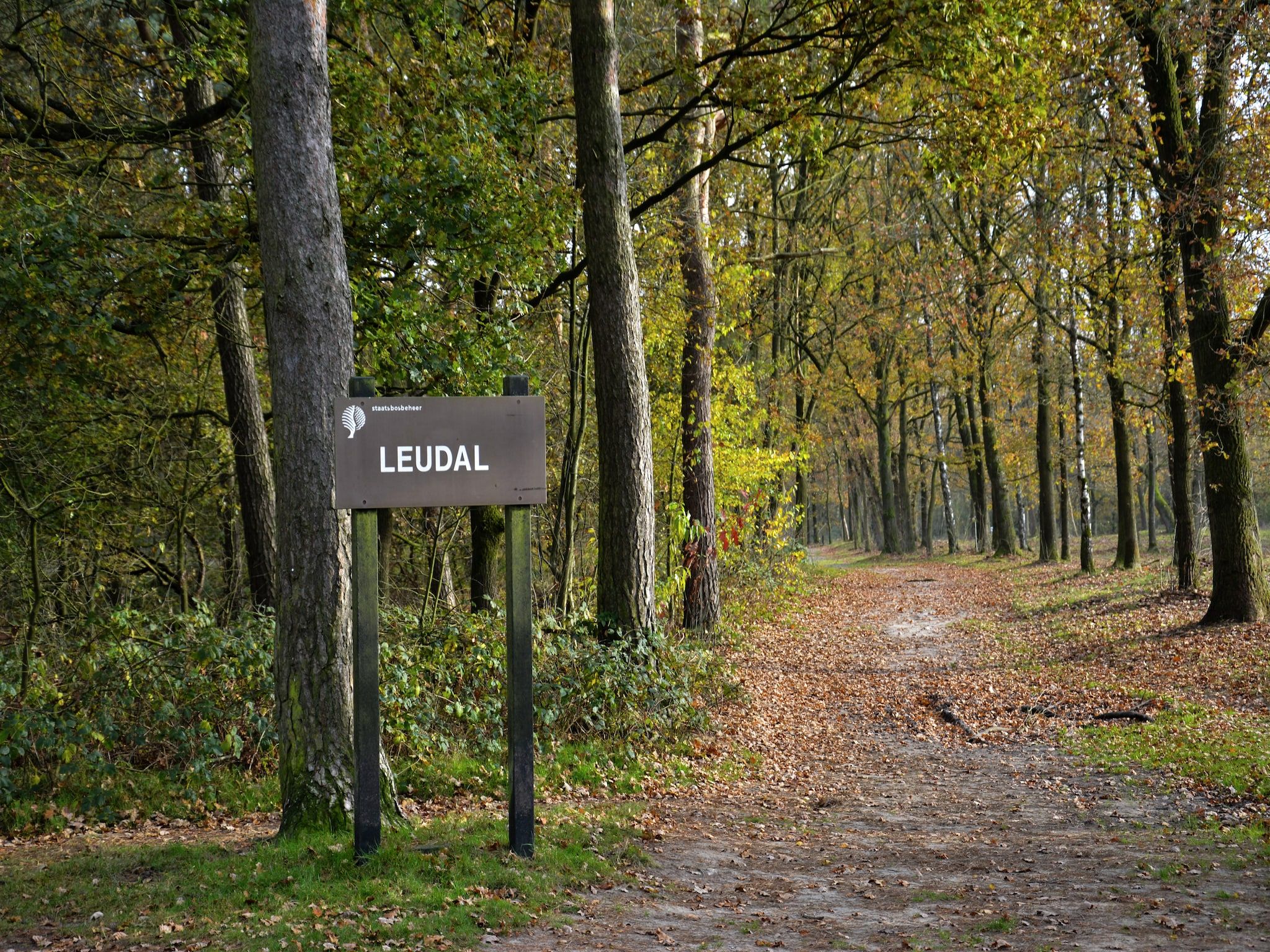 De omgeving van Boswoning in Heel