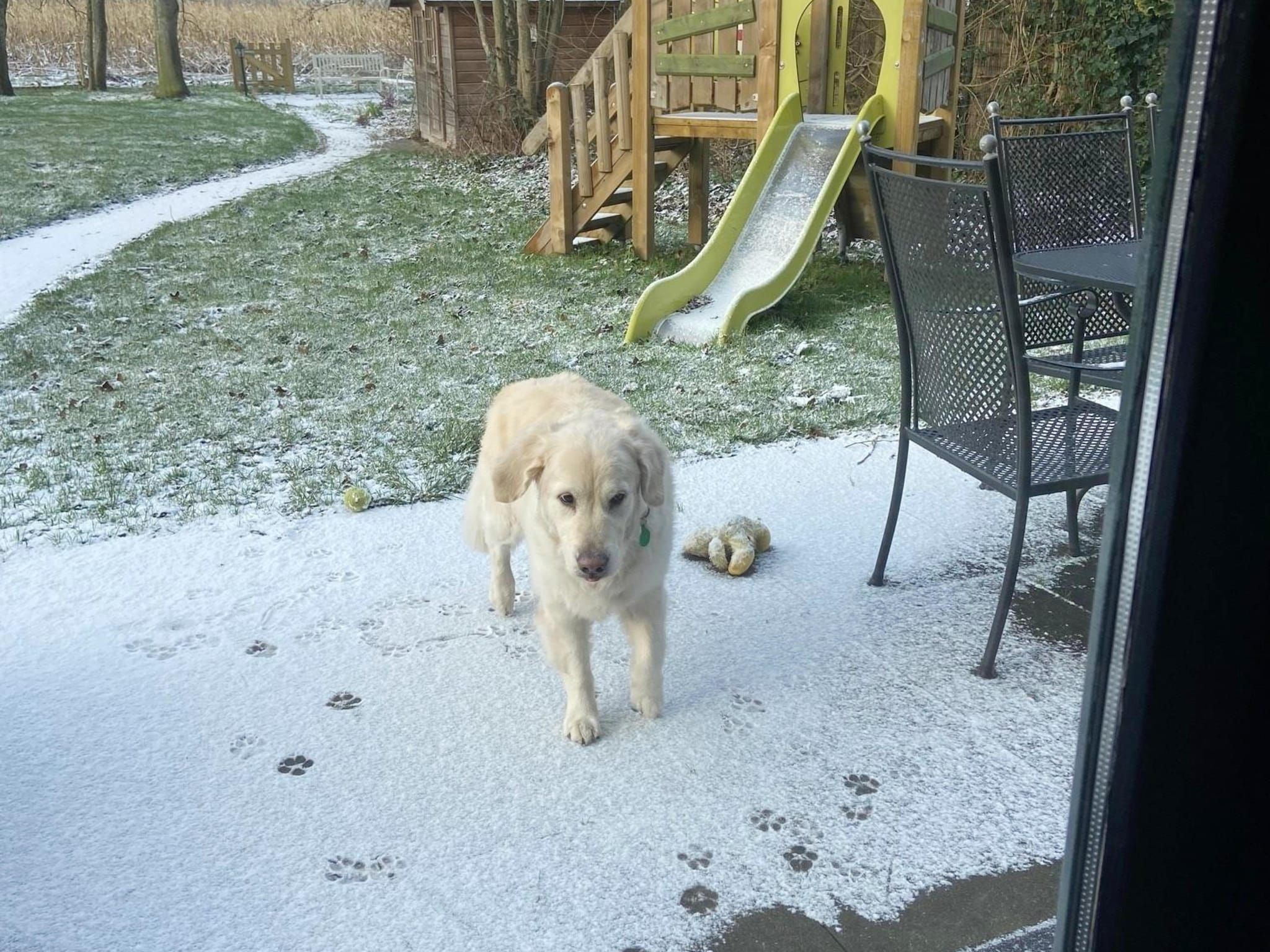 6 - Person Forest Pet & Family Bungalow in Ewijk - Foto 20 van 25