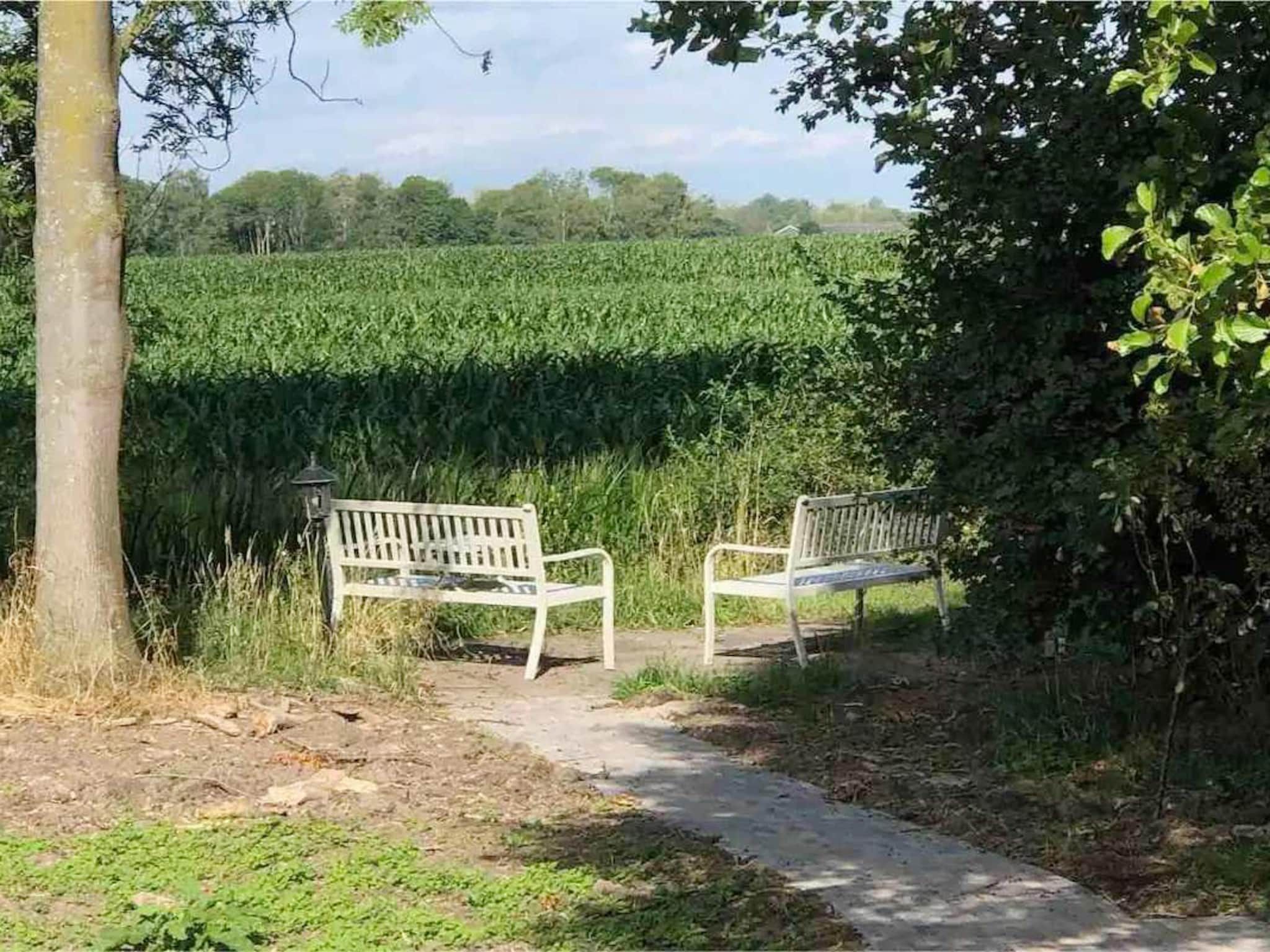 De omgeving van 6 - Person Forest Pet & Family Bungalow in Ewijk