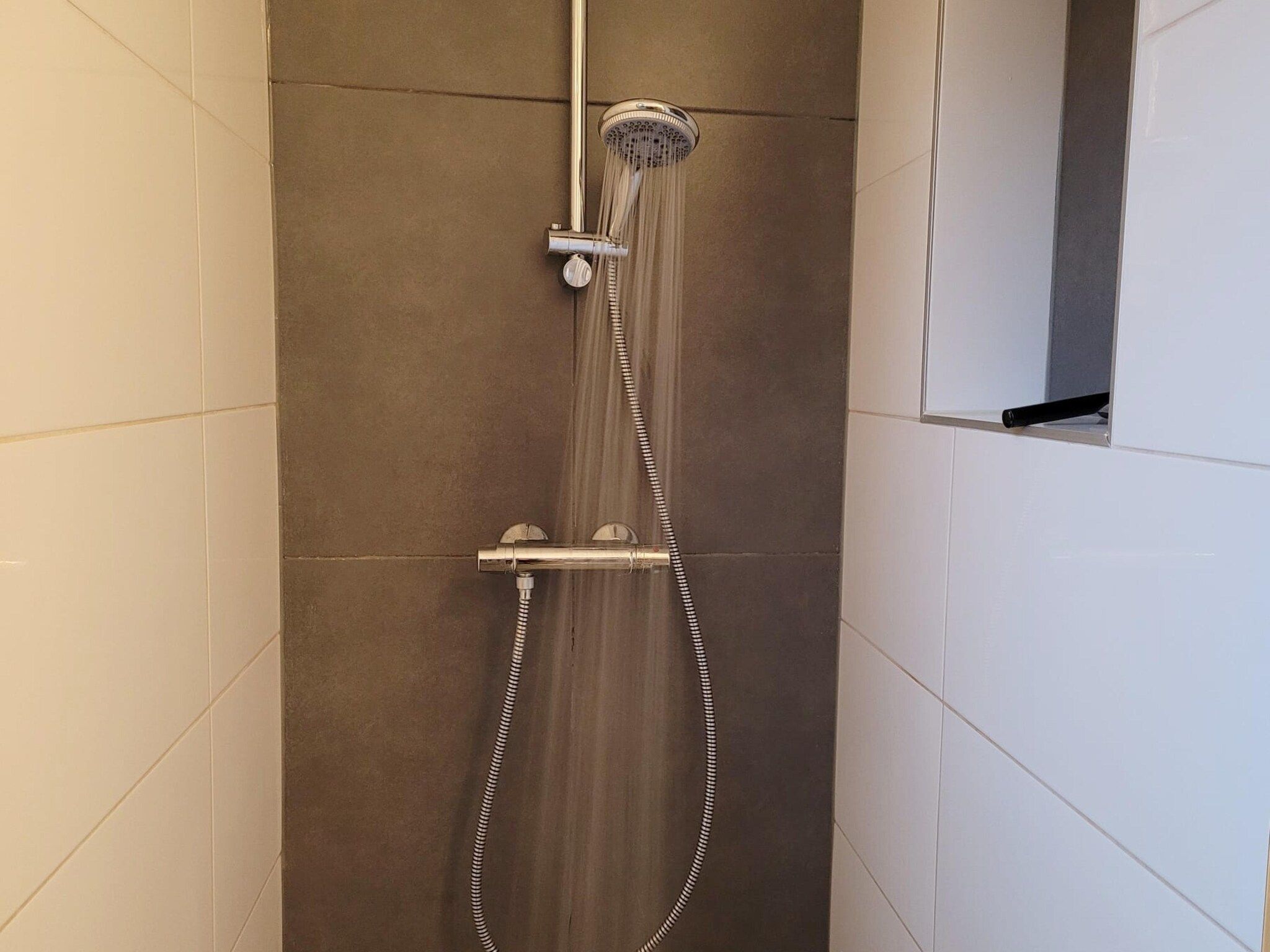 De badkamer van 6 - Person Forest Pet & Family Bungalow in Ewijk