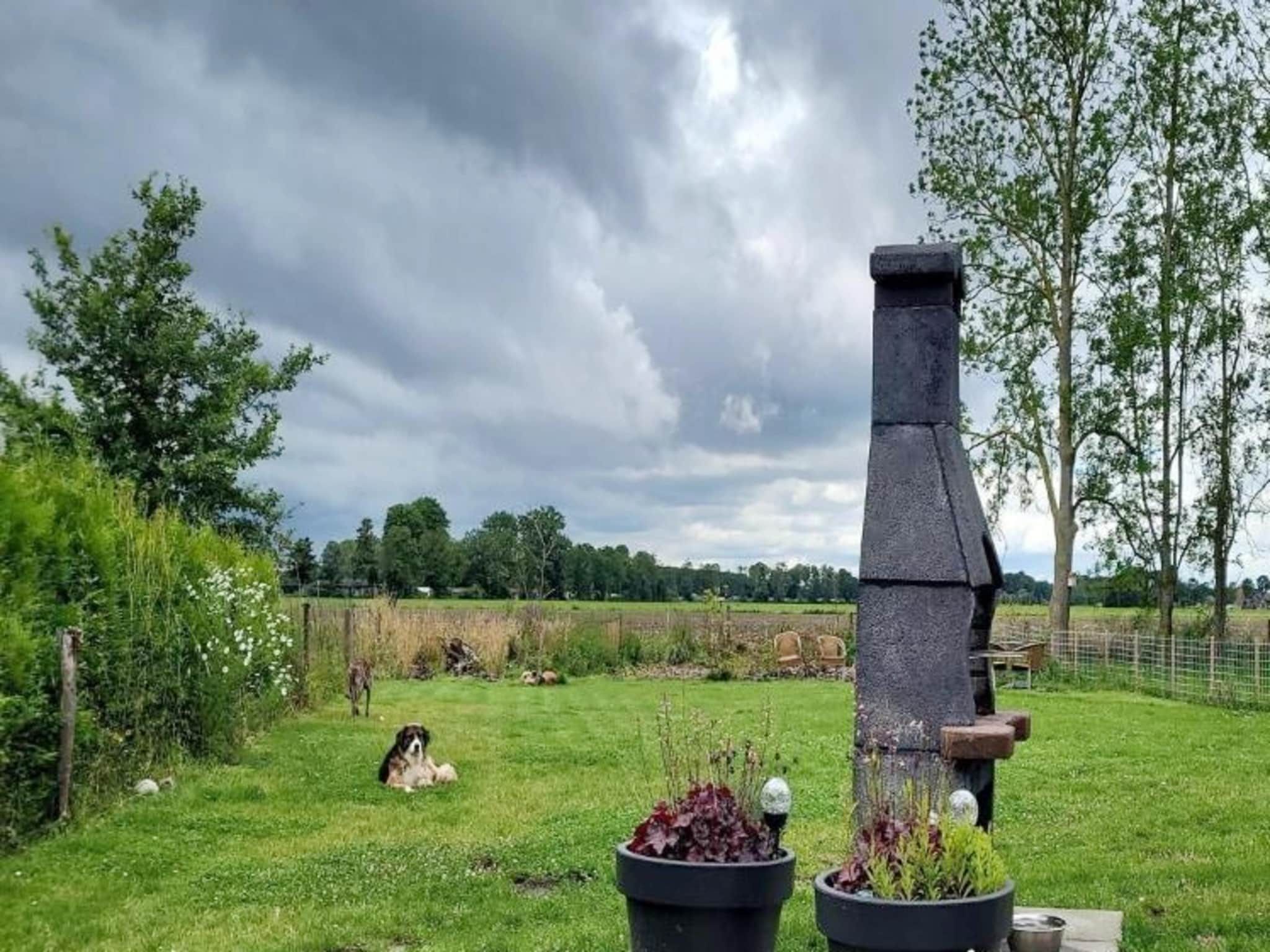 De tuin van 6 - Person Forest Pet & Family Bungalow in Ewijk