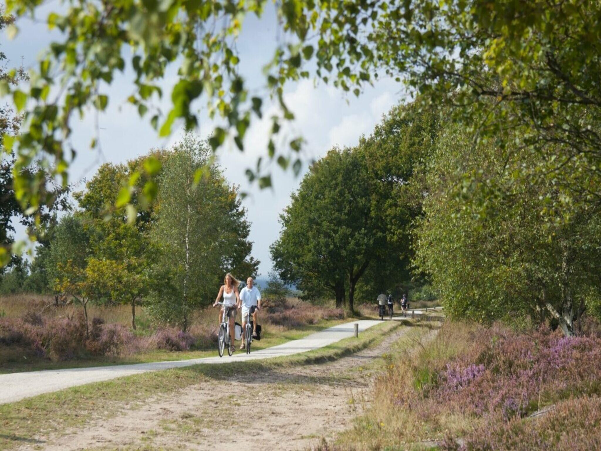 De omgeving van Wellness Lodge | jacuzzi, sauna and sunshower | 2 persons in Rijssen