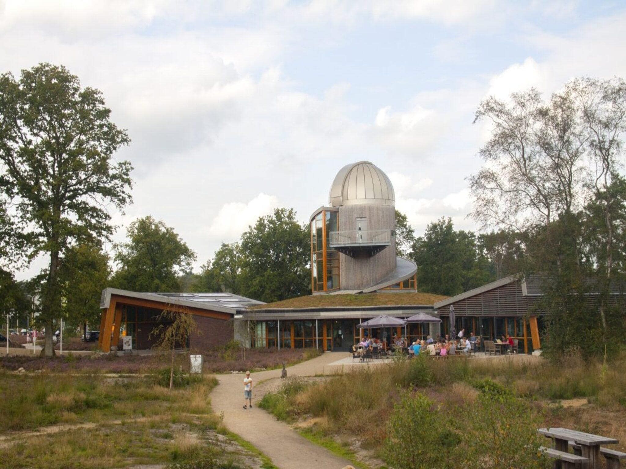 De omgeving van Forest doglodge with enclosed garden I 4 people in Rijssen